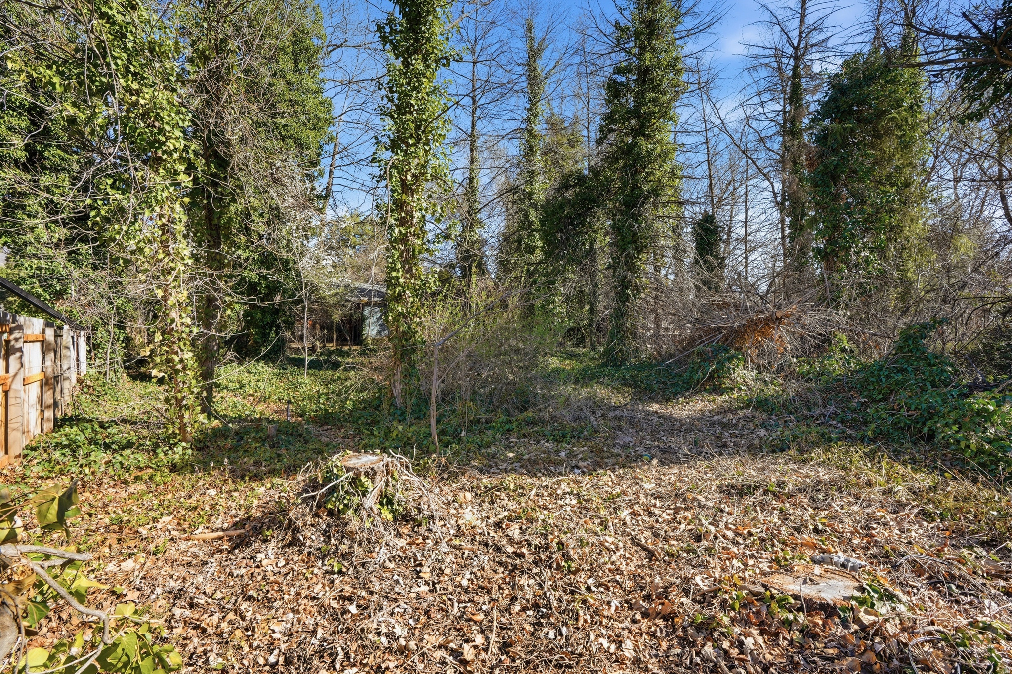 main property photo 13