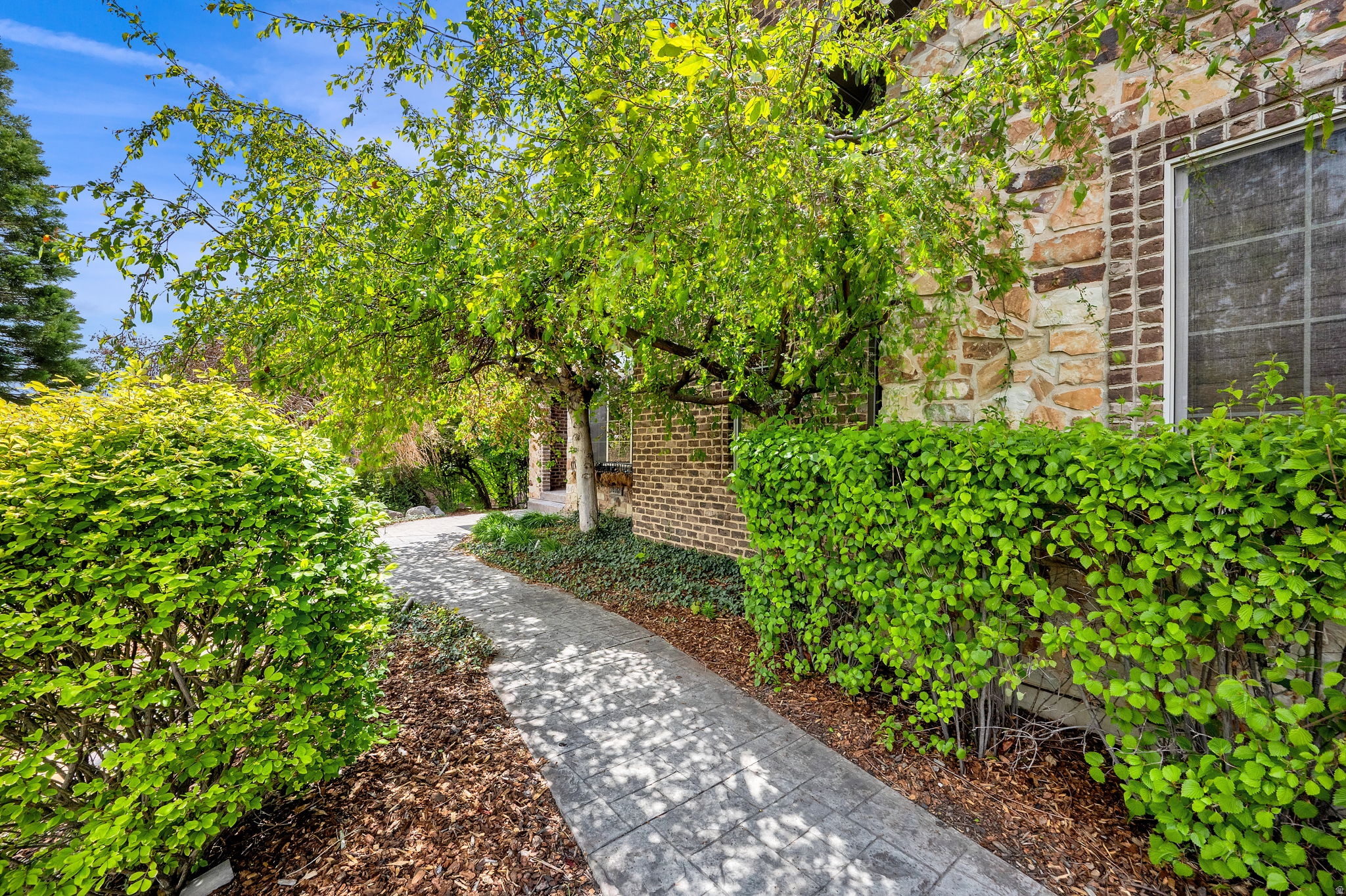 main property photo 85