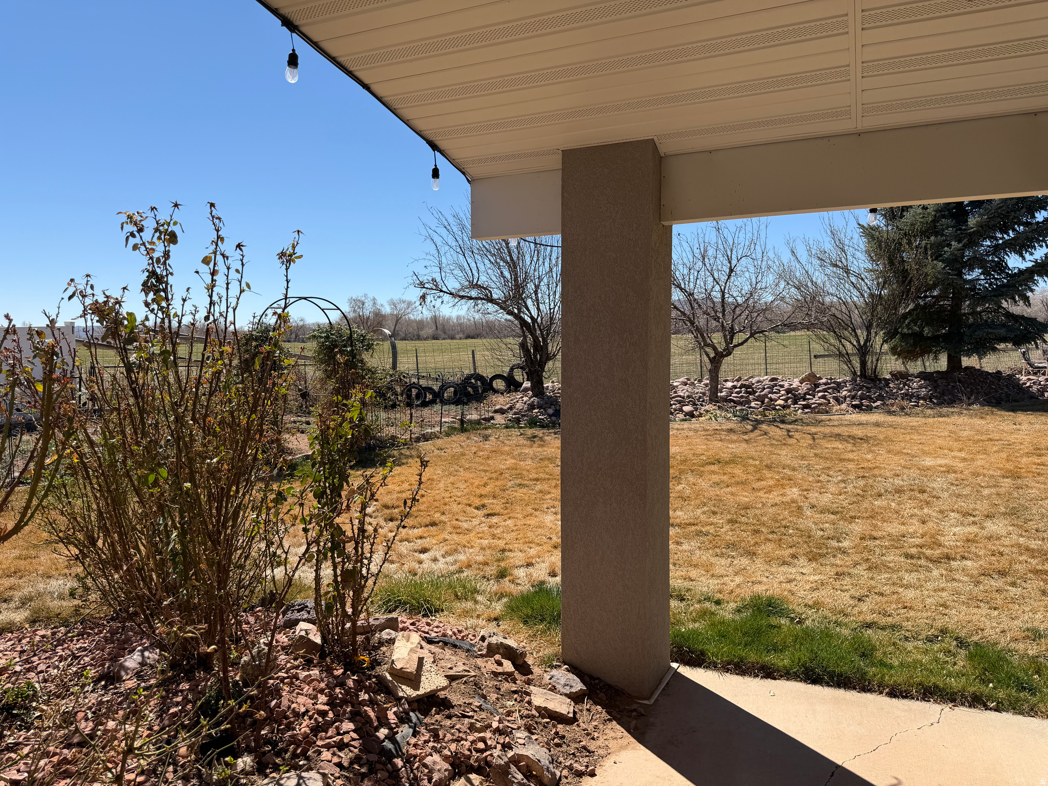 main property photo 38