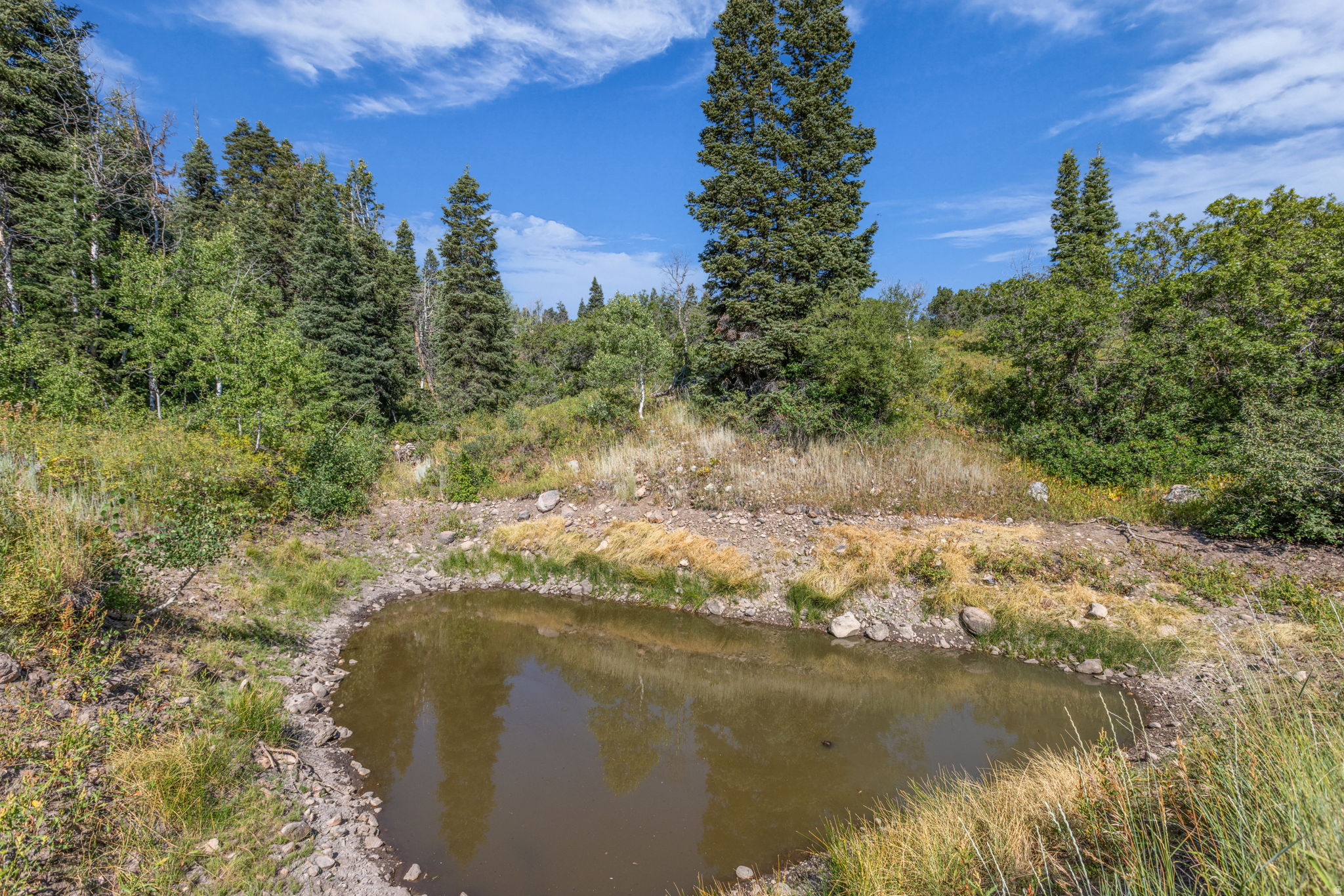 main property photo 17