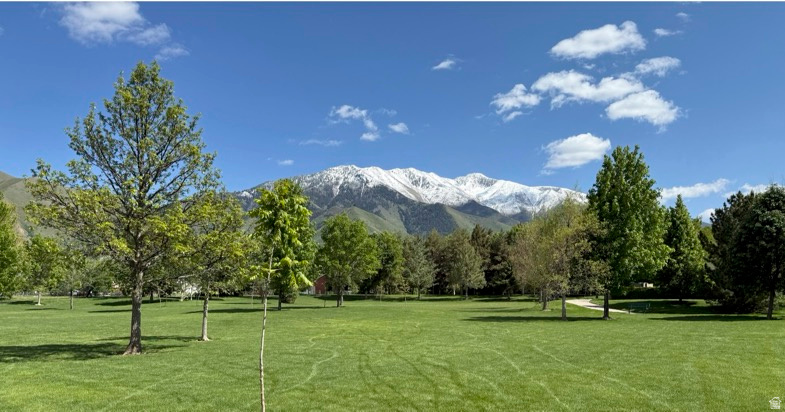 main property photo 85