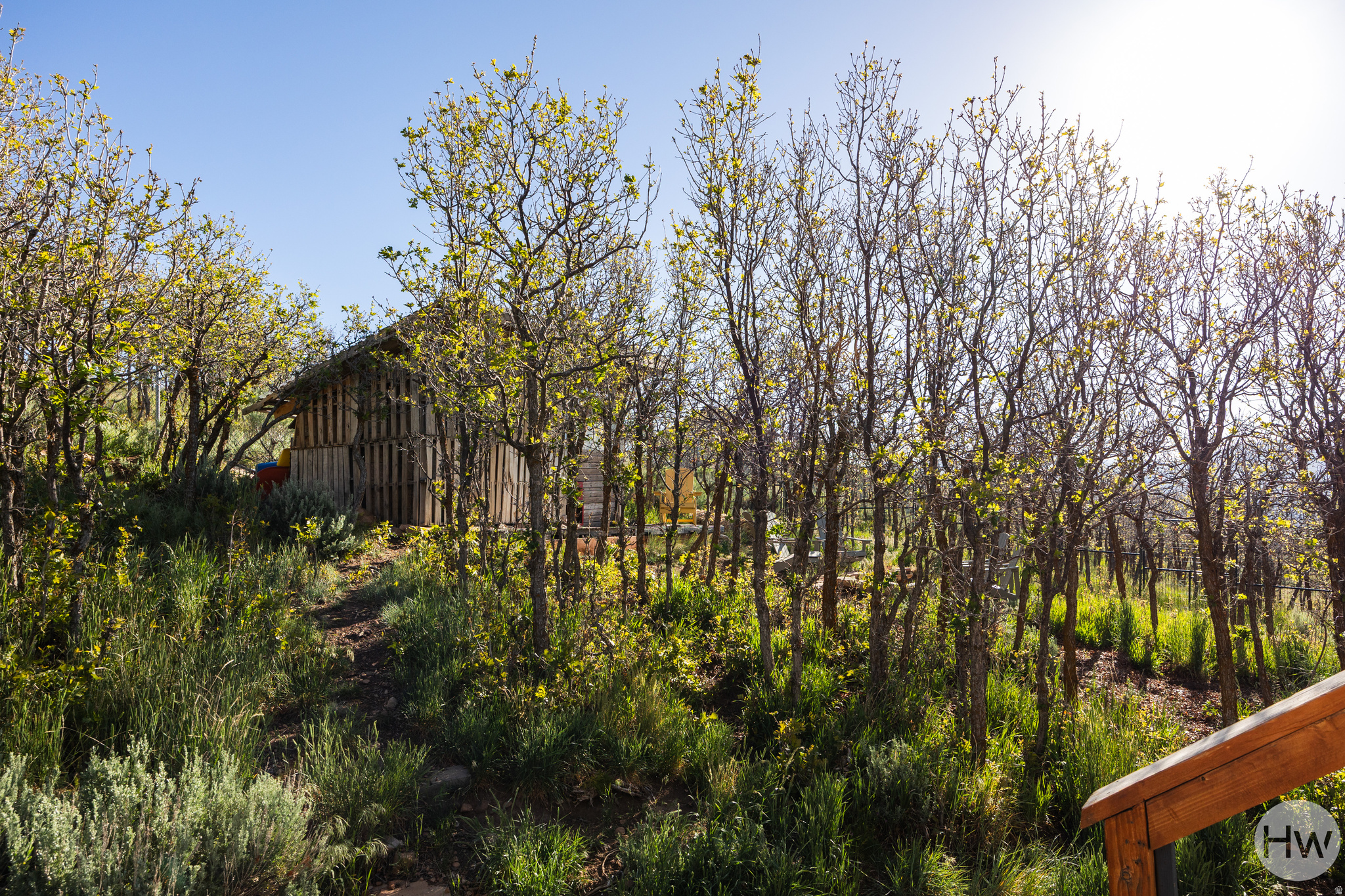 main property photo 47