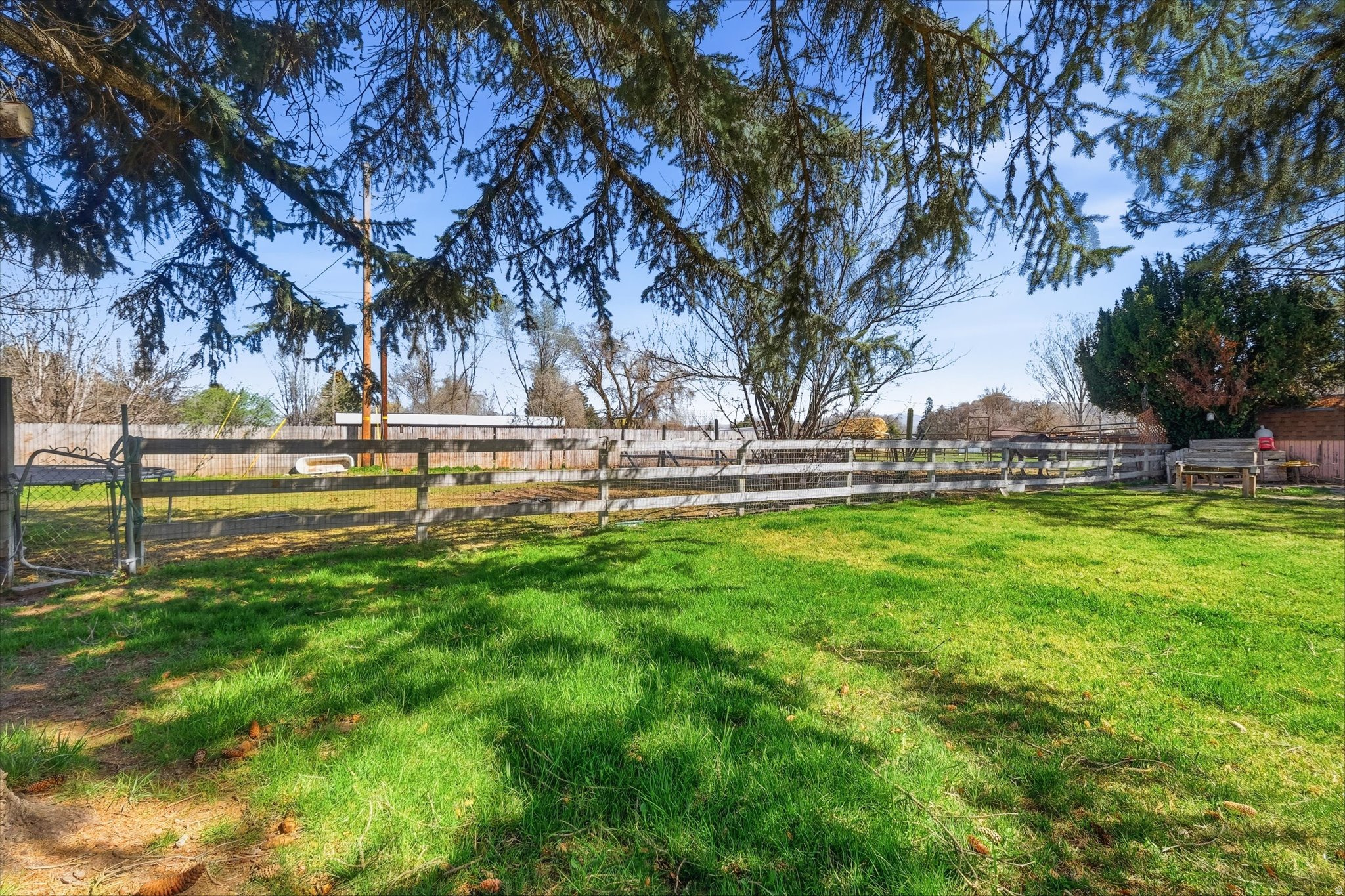 main property photo 53