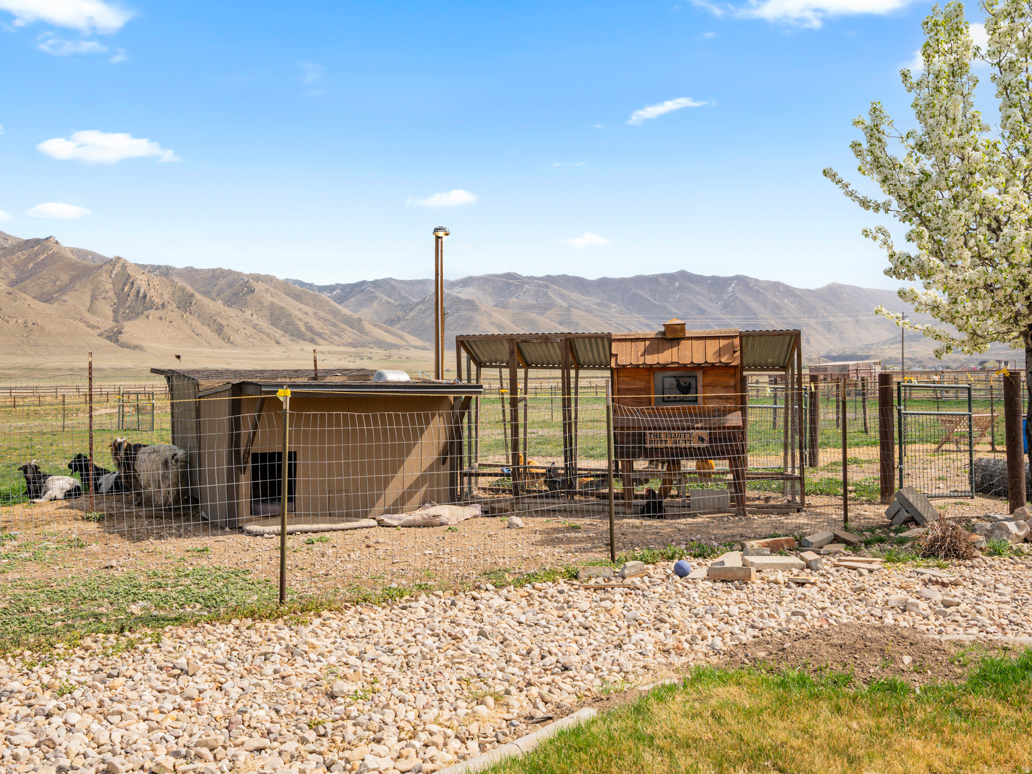main property photo 58