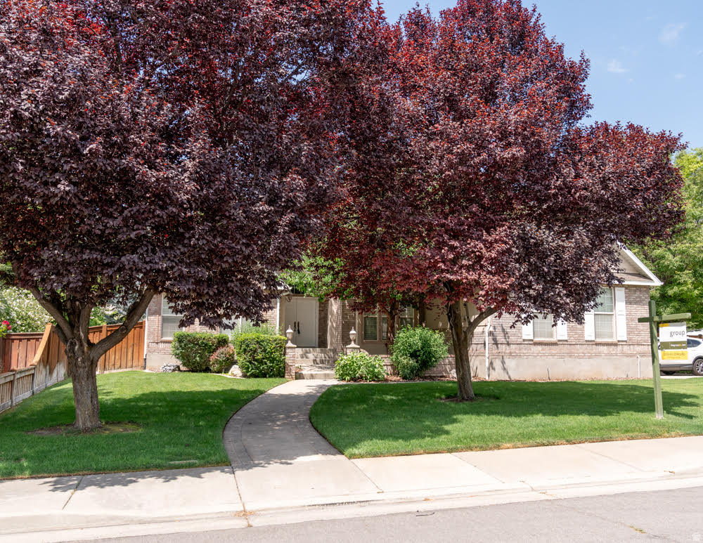 main property photo 56