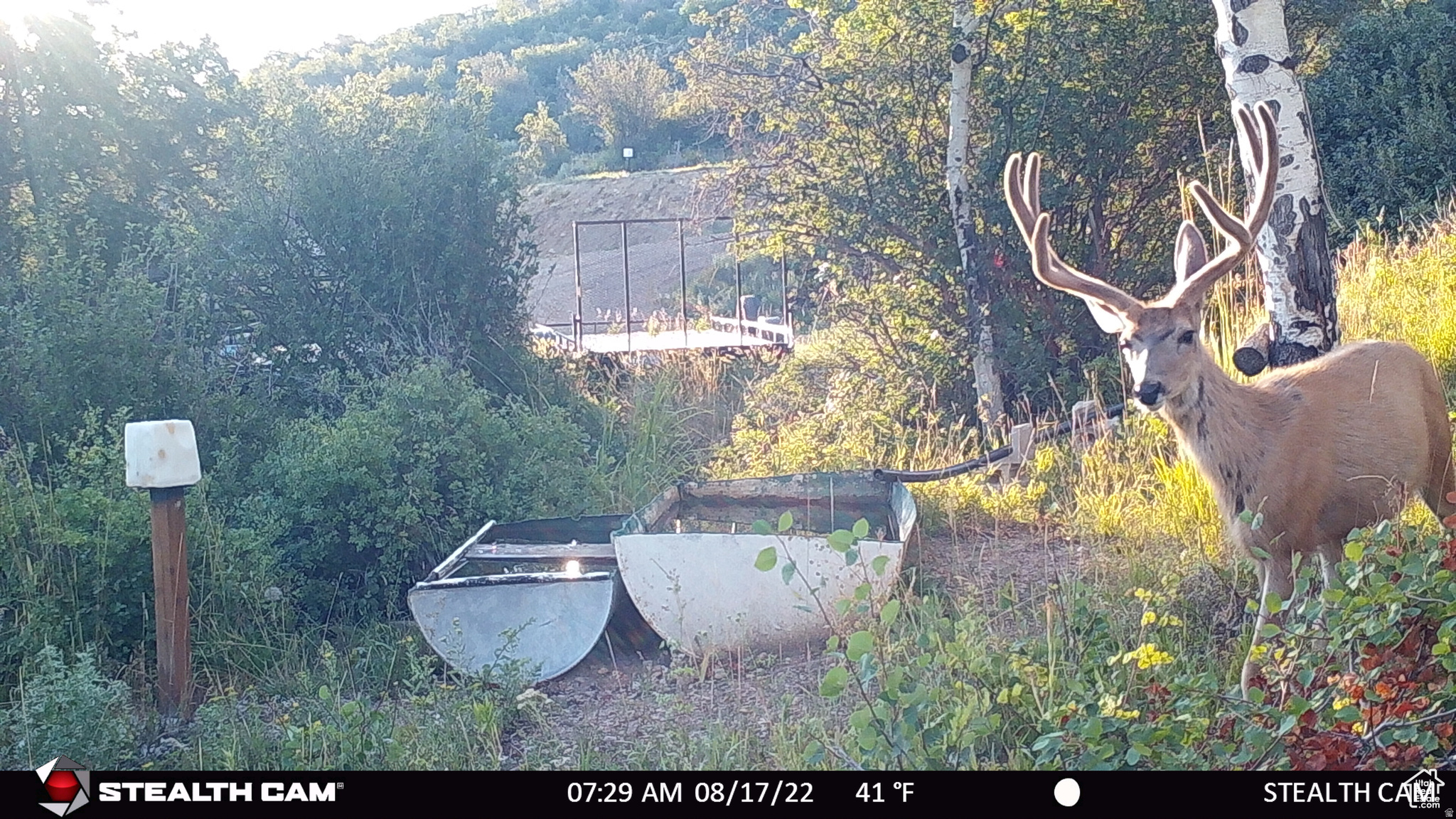 main property photo 19