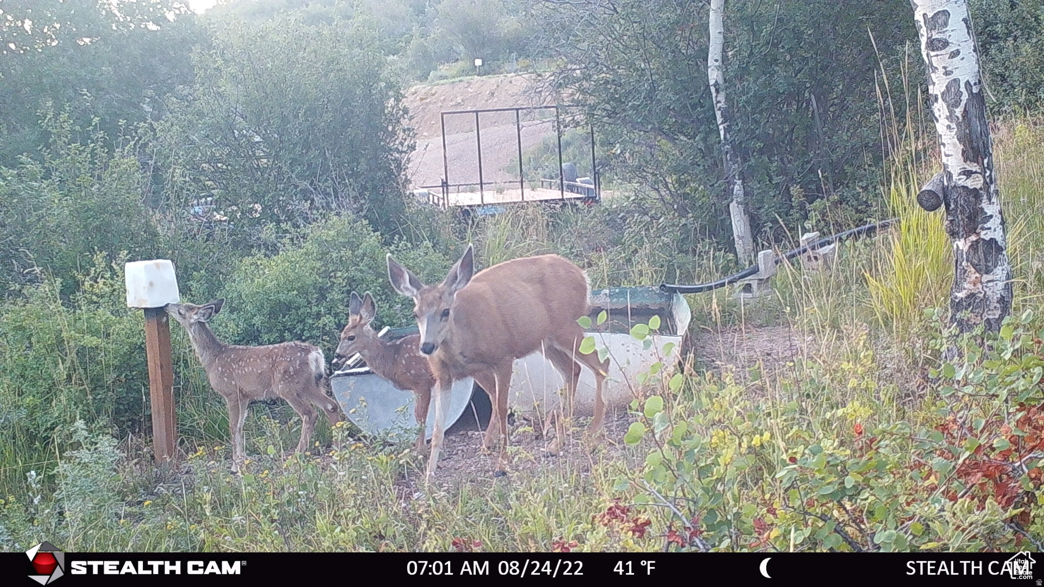main property photo 20