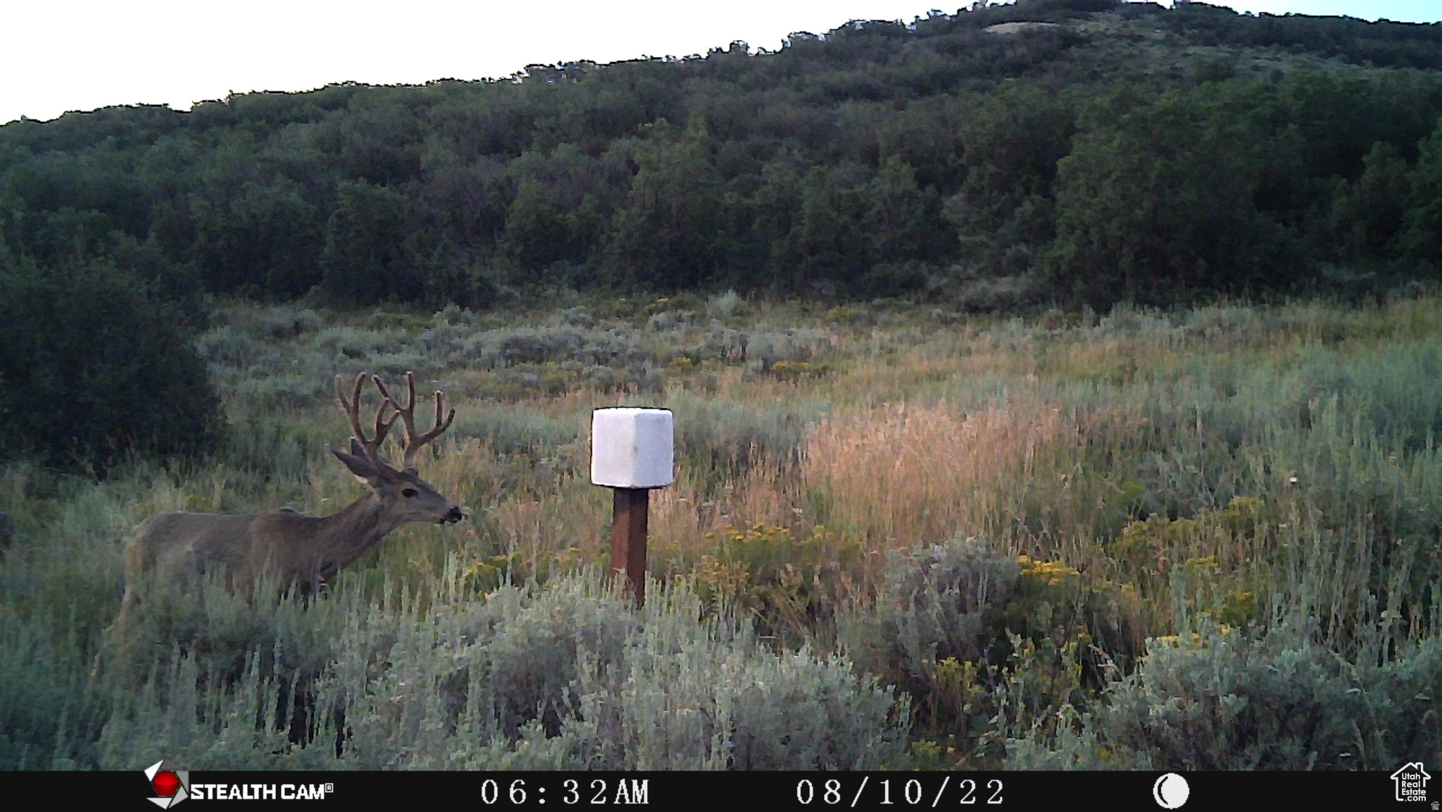 main property photo 22