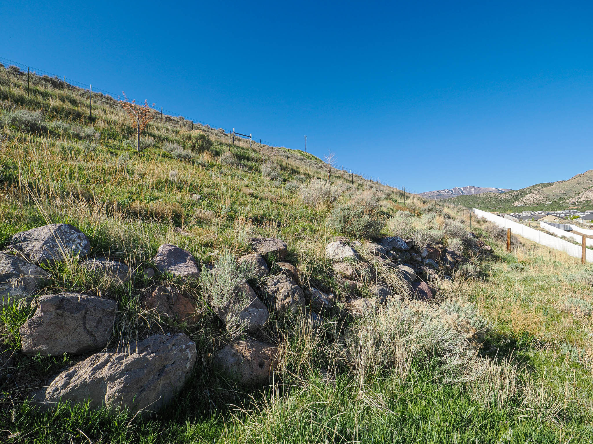 main property photo 73