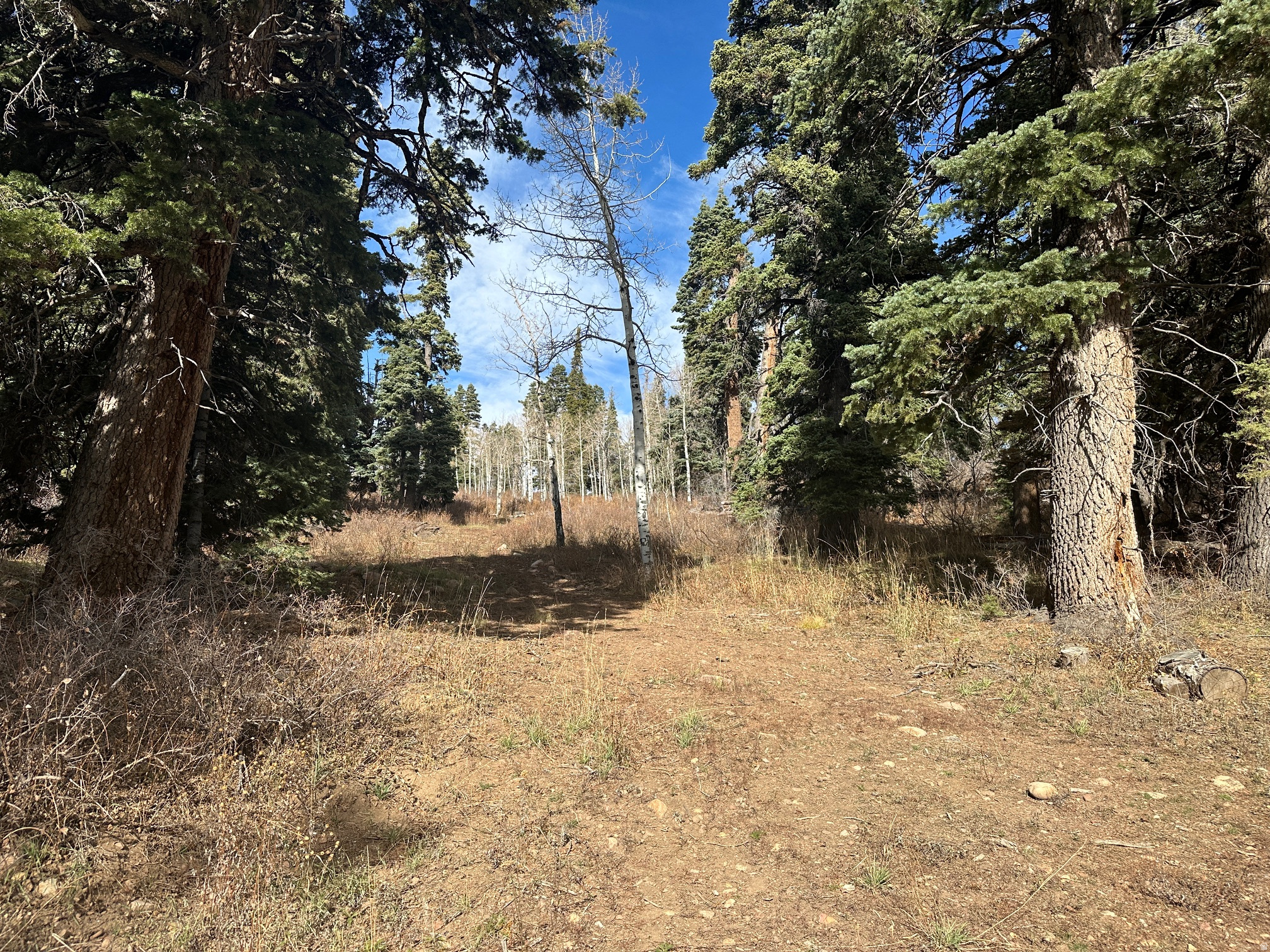 main property photo 12