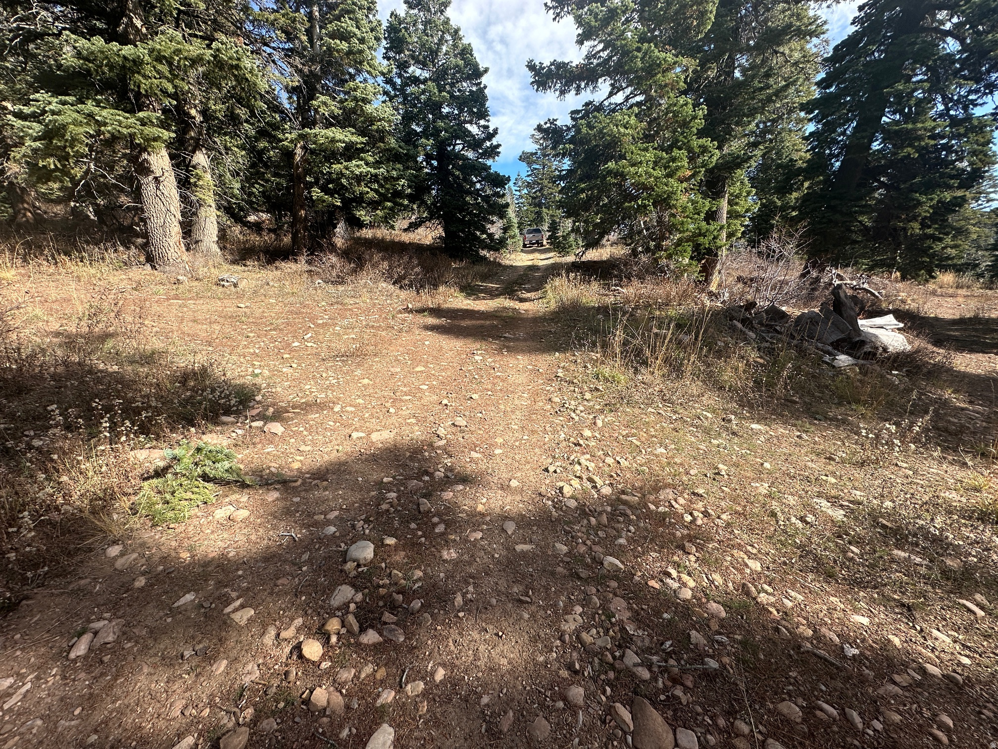 main property photo 14