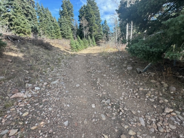 main property photo 15
