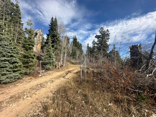 main property photo 17
