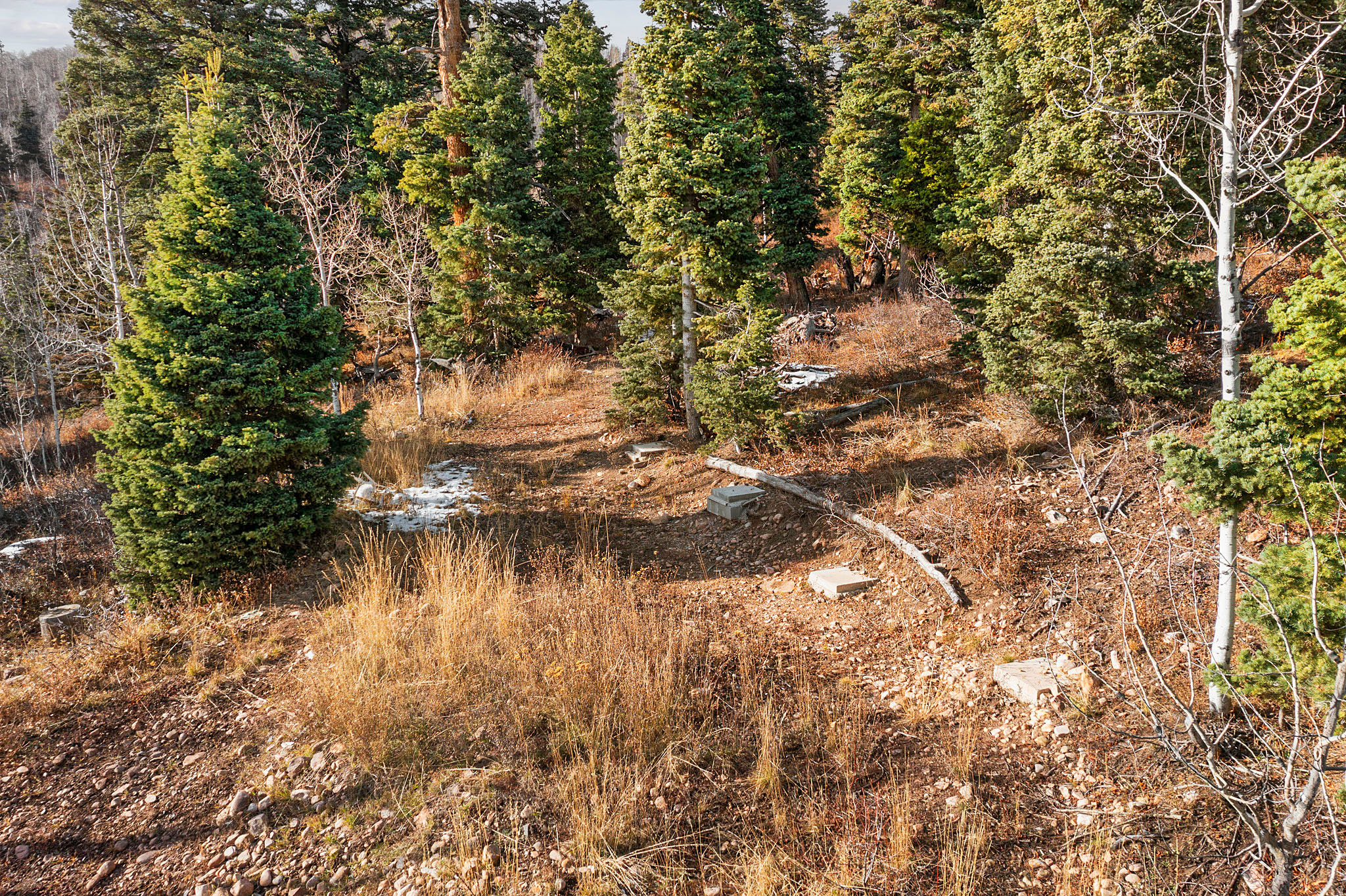 main property photo 9