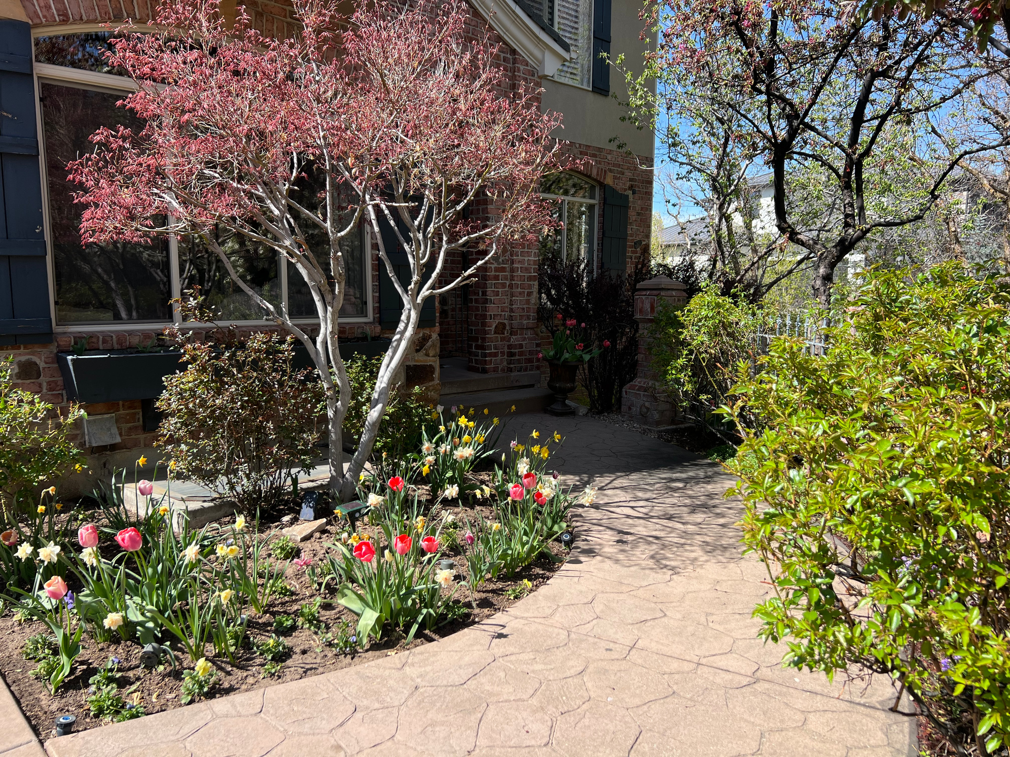 main property photo 104