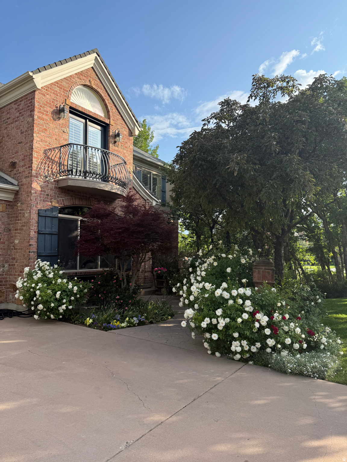 main property photo 80