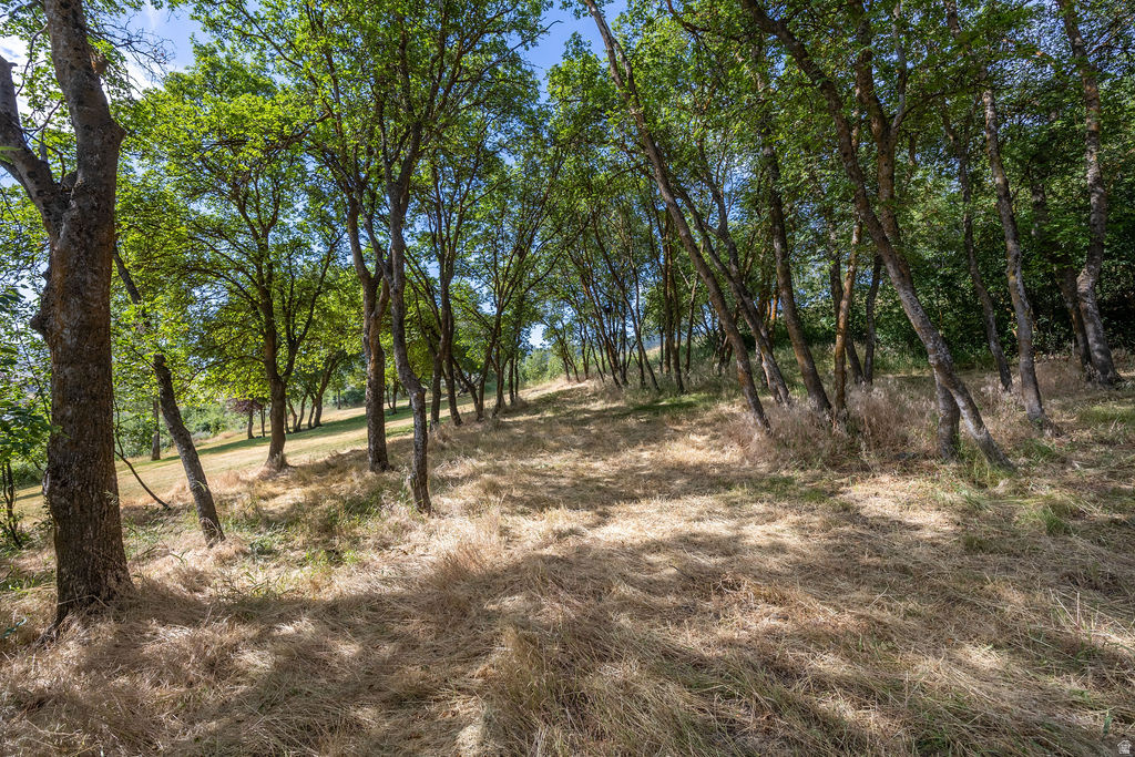main property photo 69
