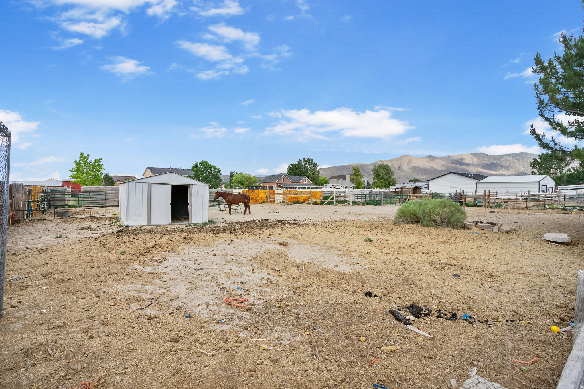 main property photo 31