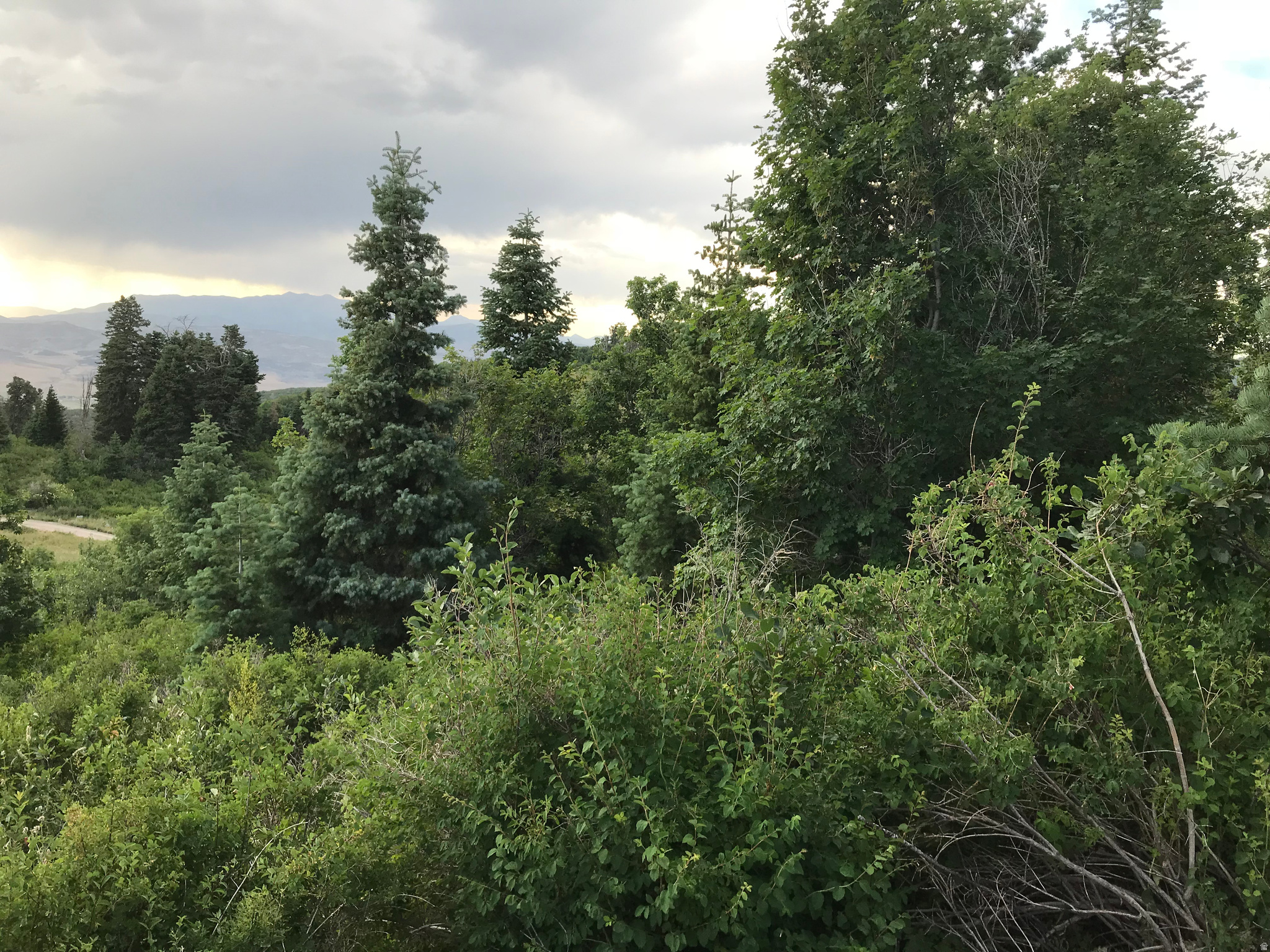 main property photo 14