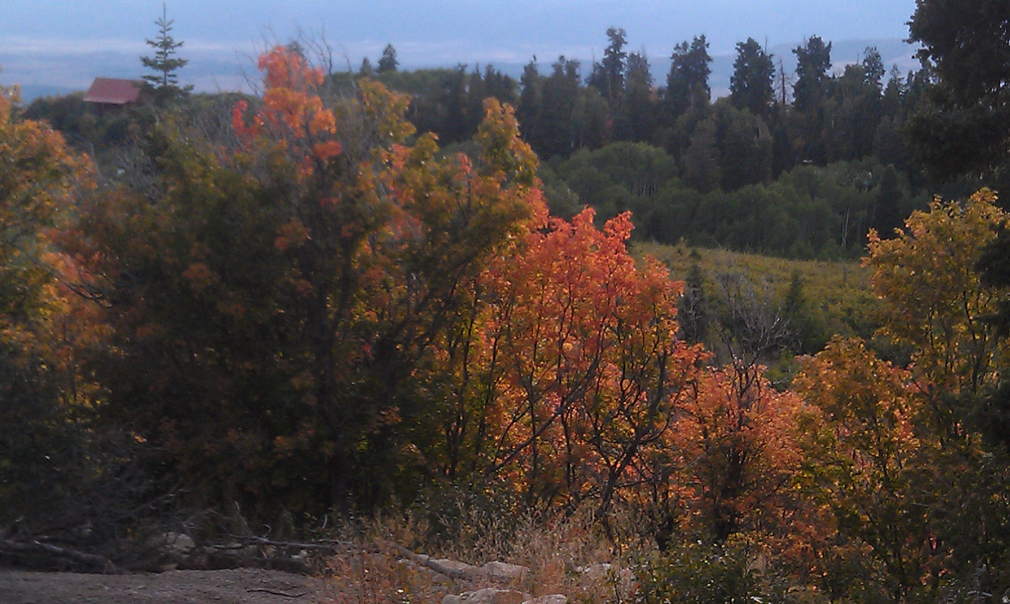 main property photo 18