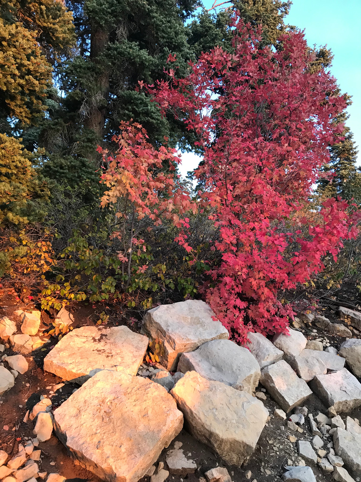 main property photo 19