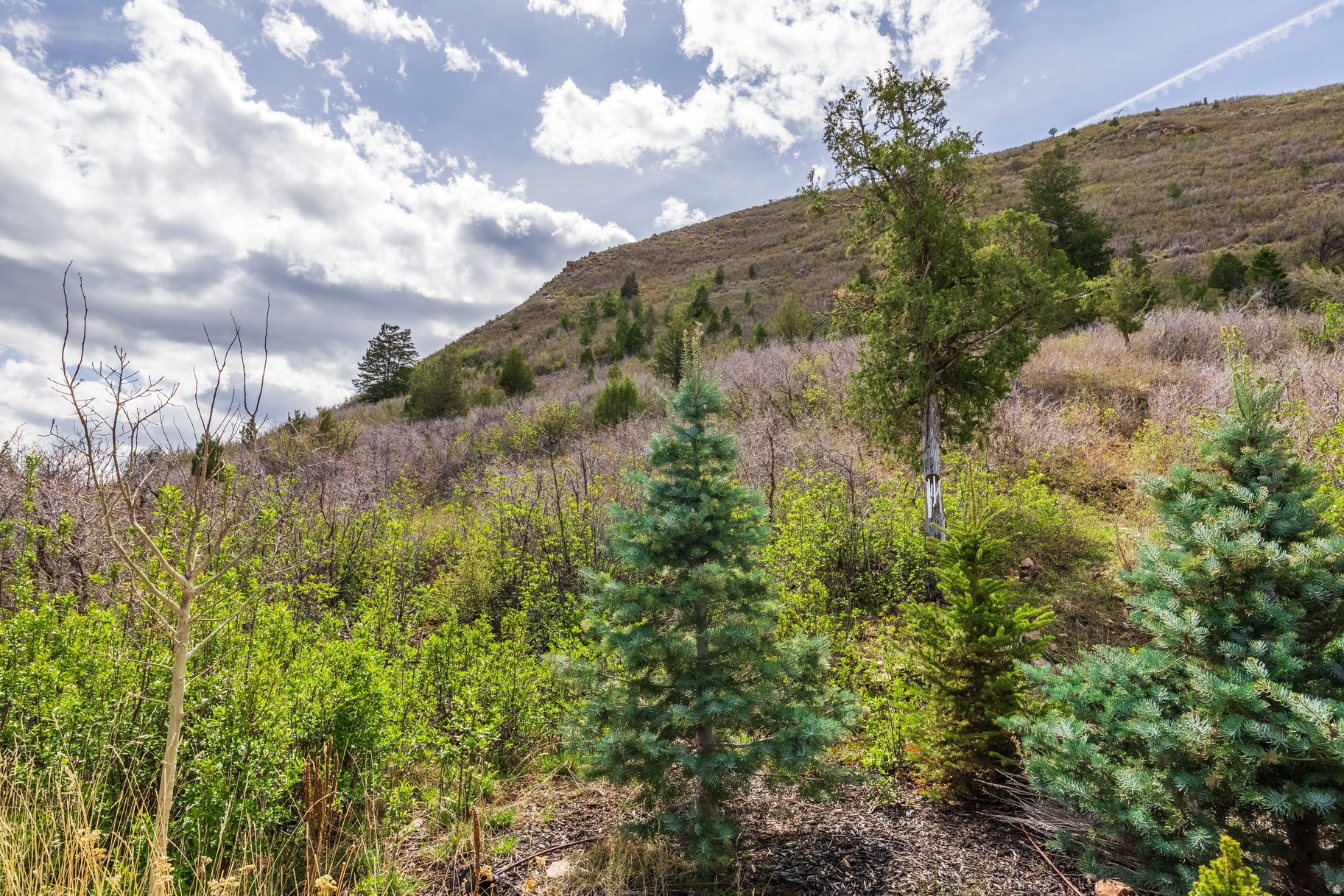 main property photo 45