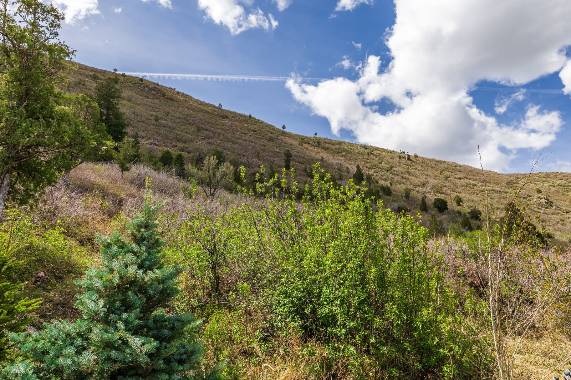 main property photo 46