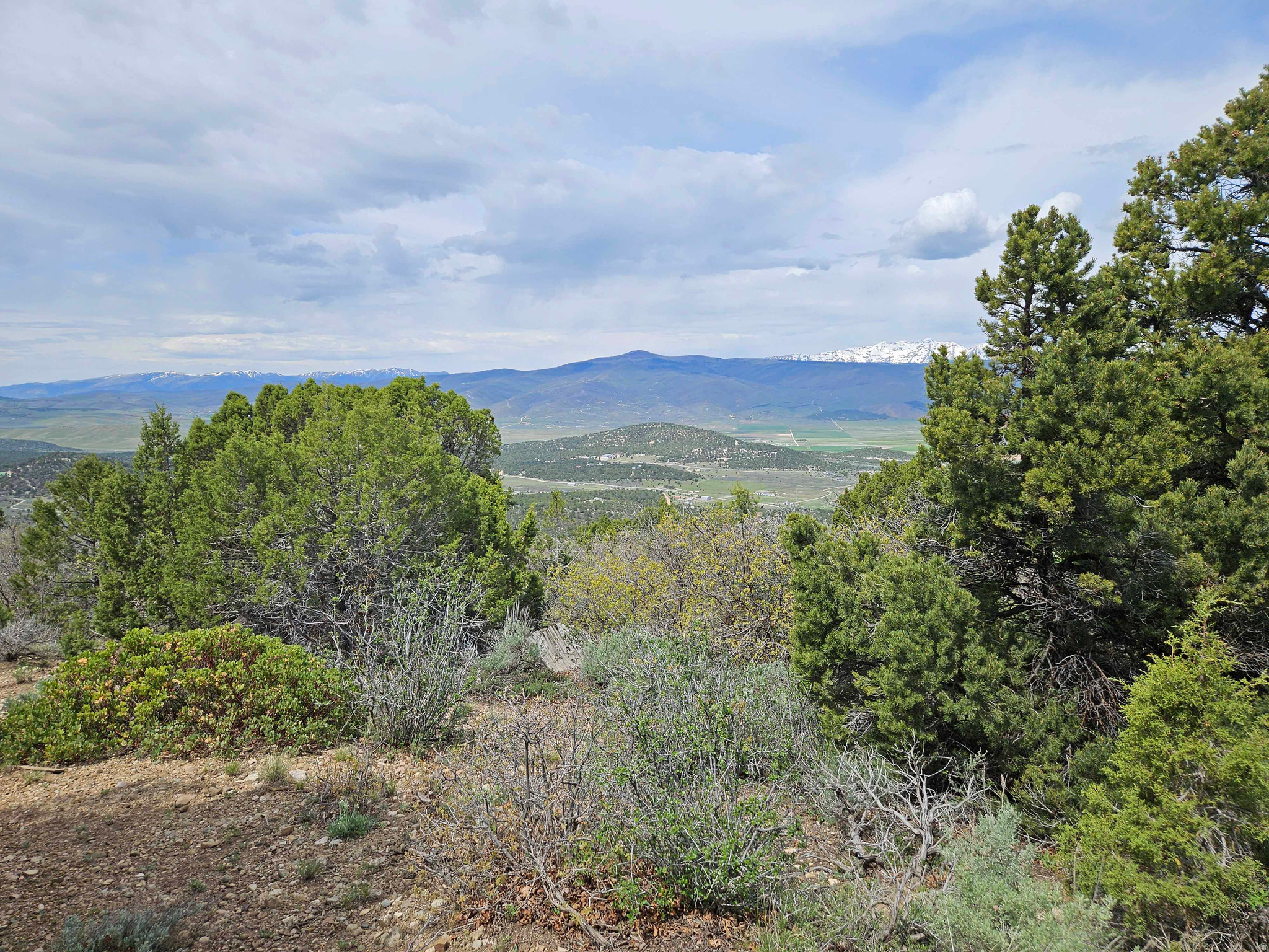 main property photo 7