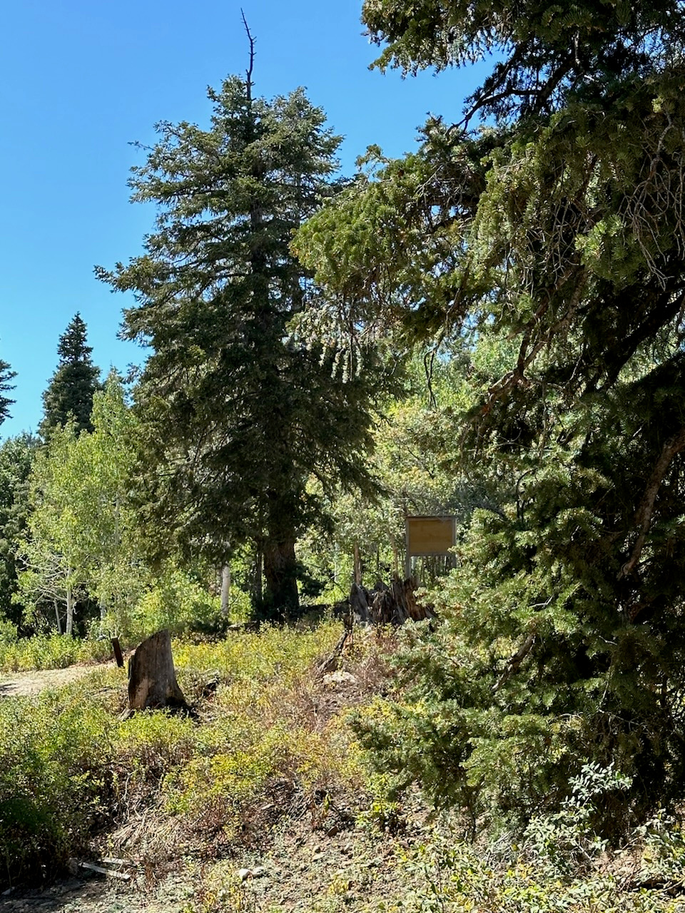 main property photo 54