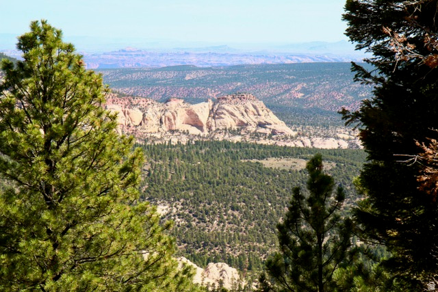main property photo 9
