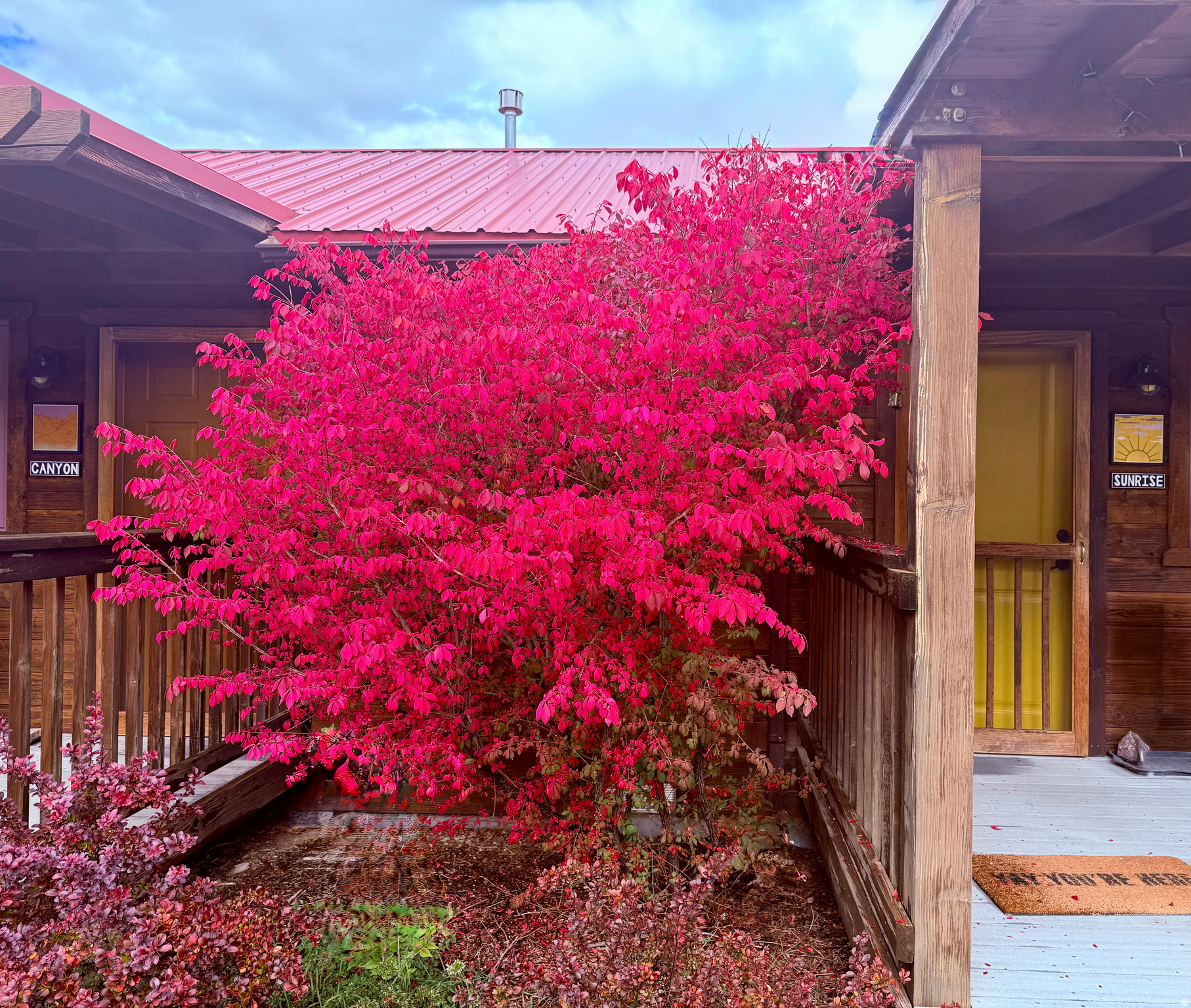 main property photo 8