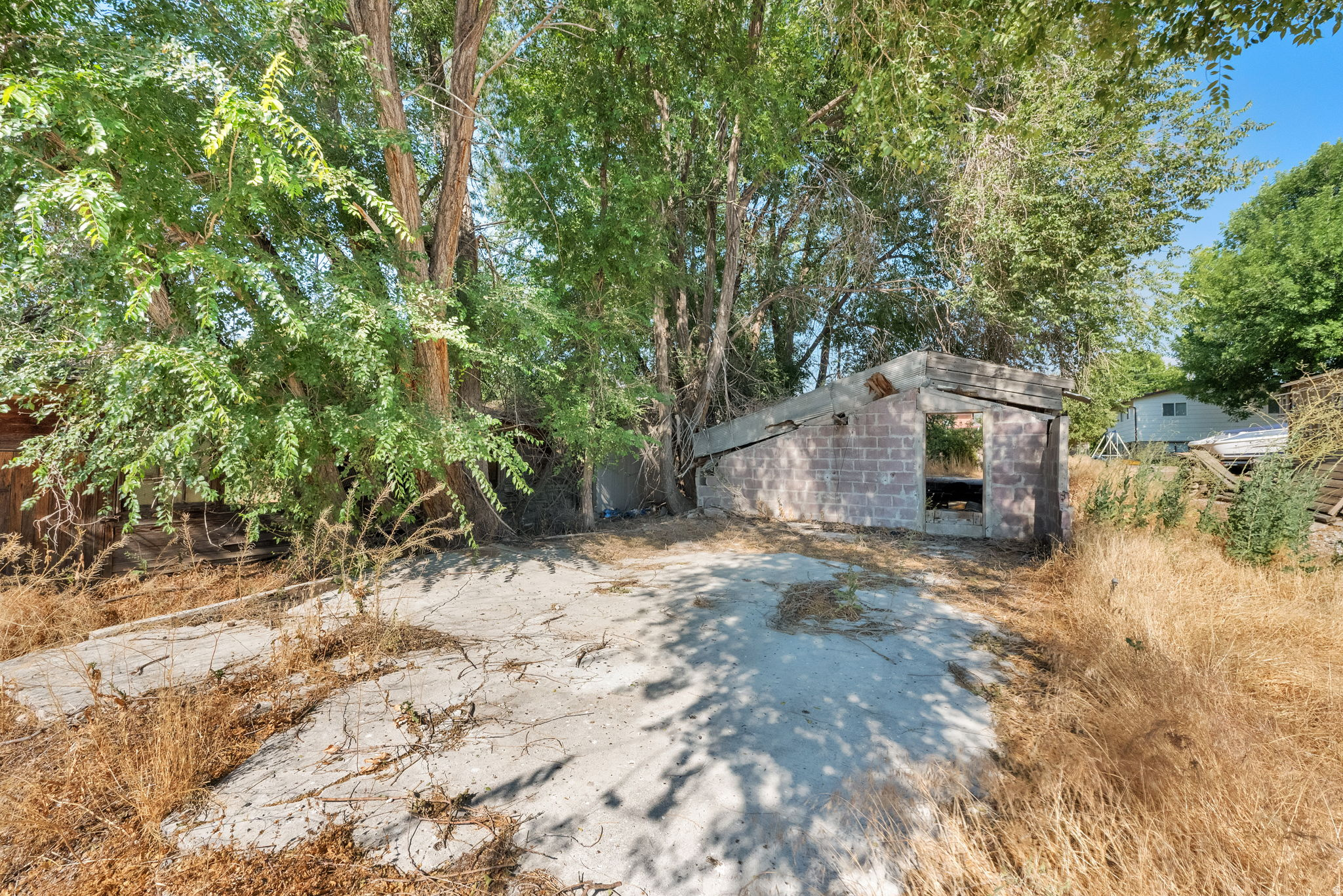 main property photo 54