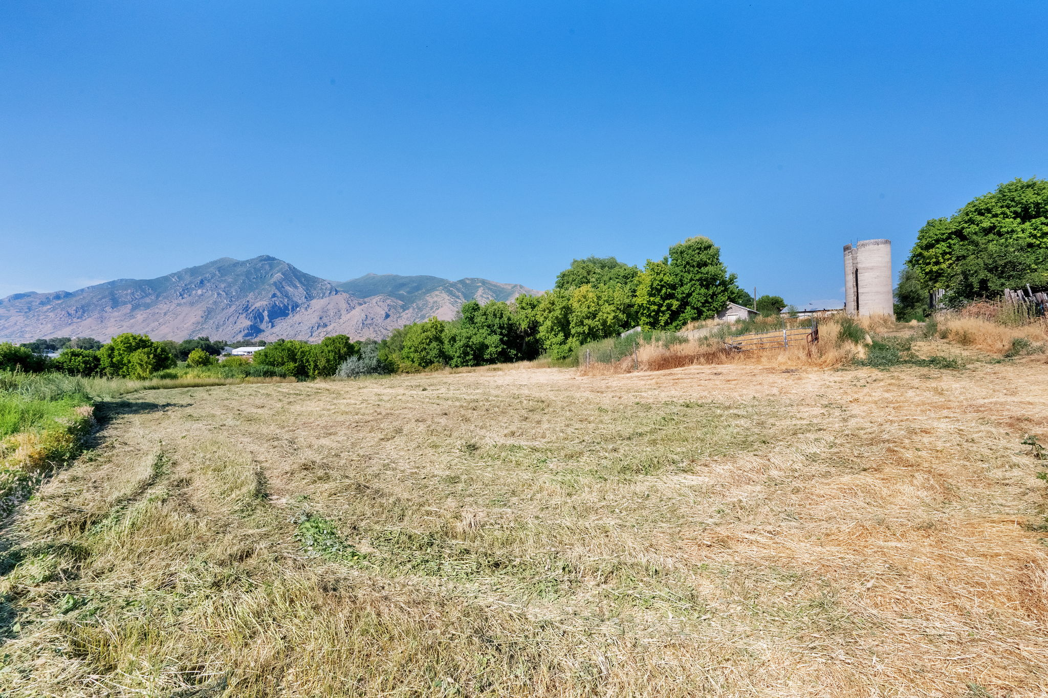 main property photo 81