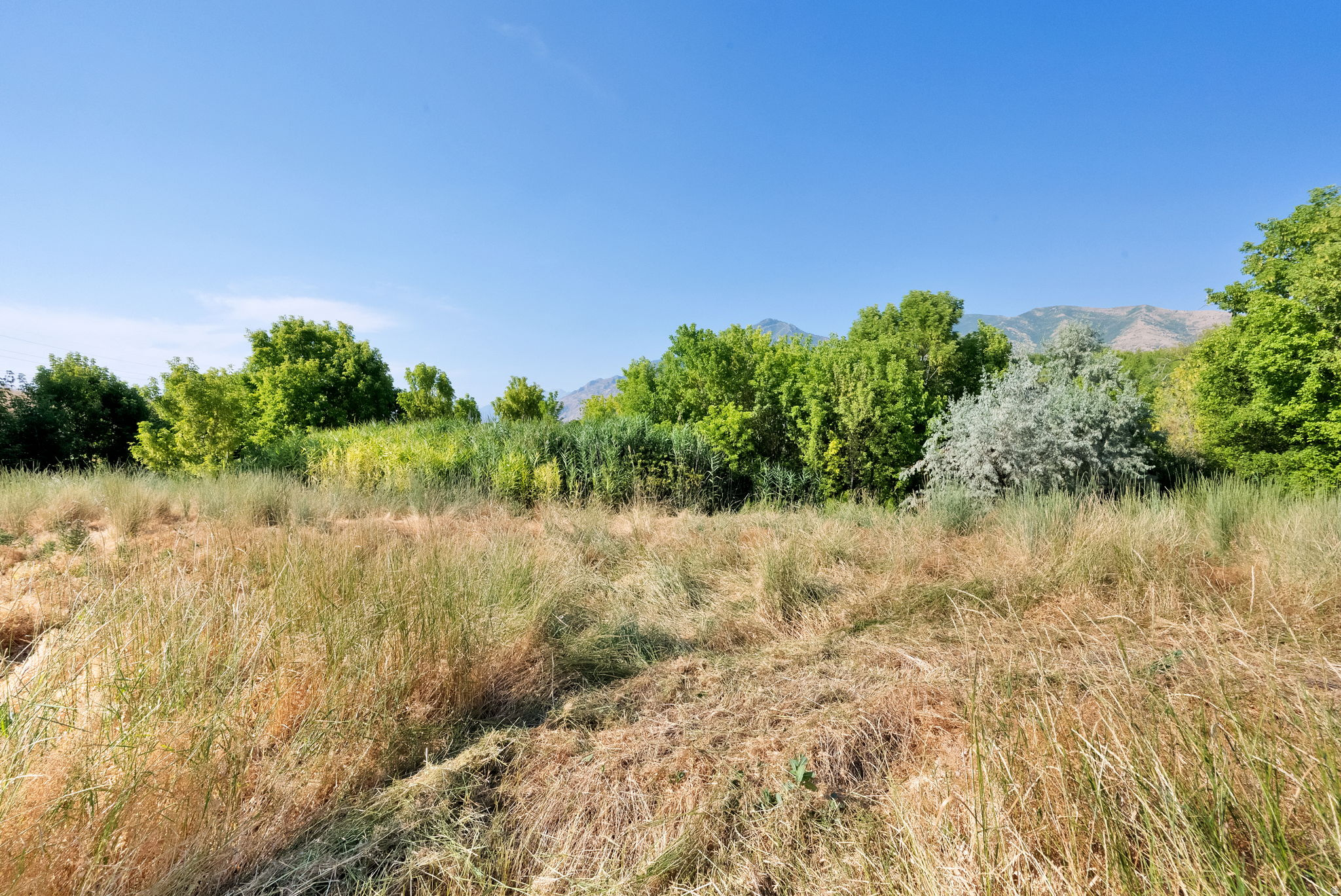 main property photo 83