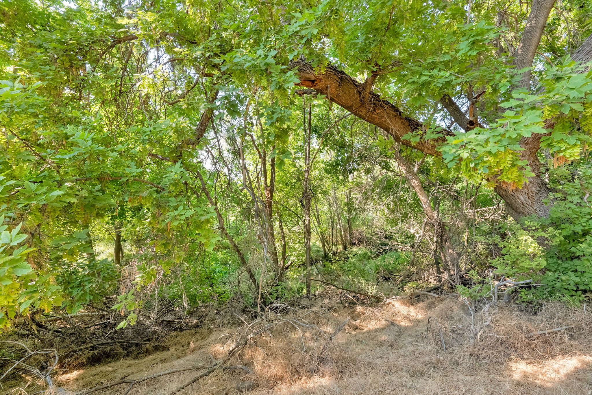 main property photo 88