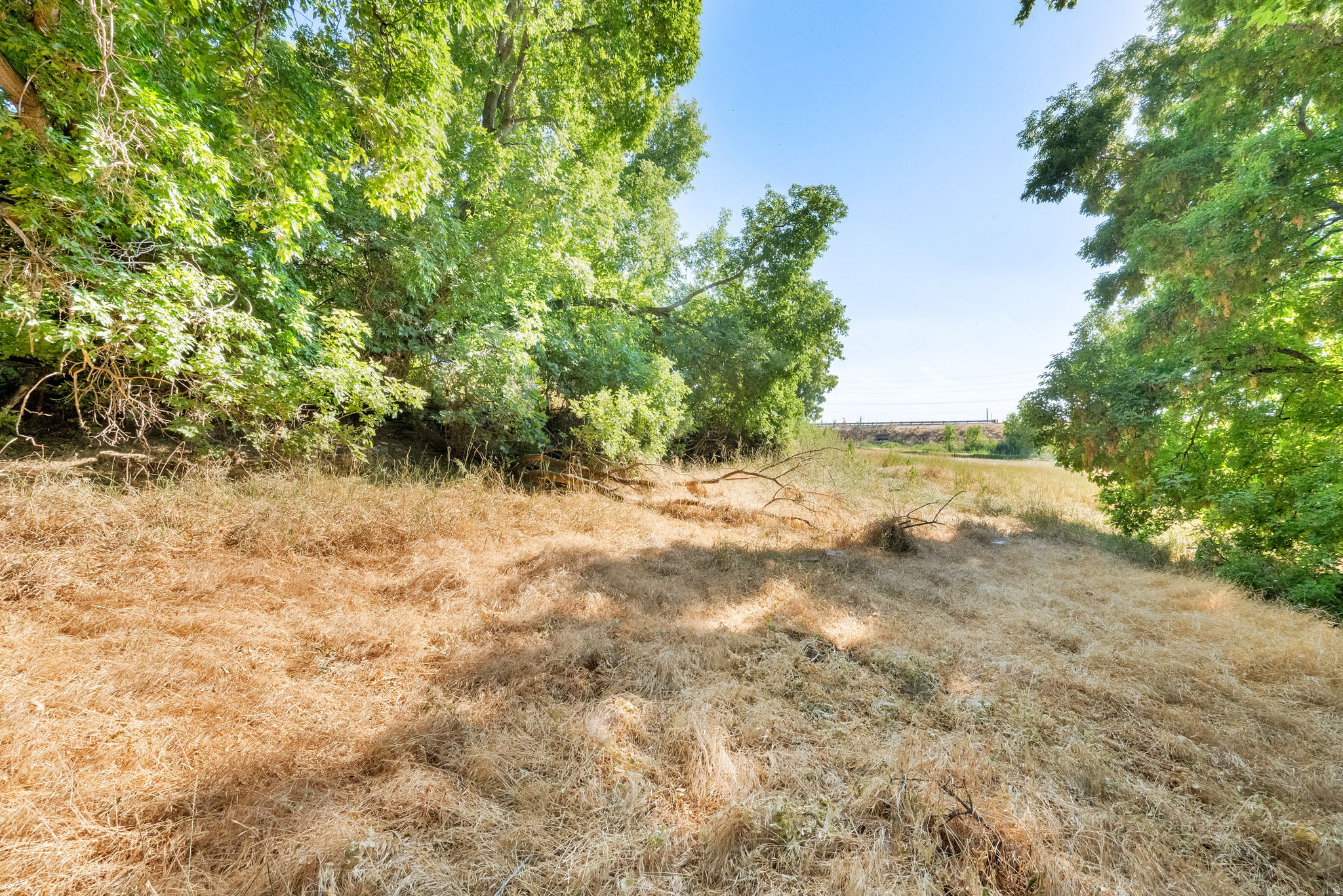 main property photo 89