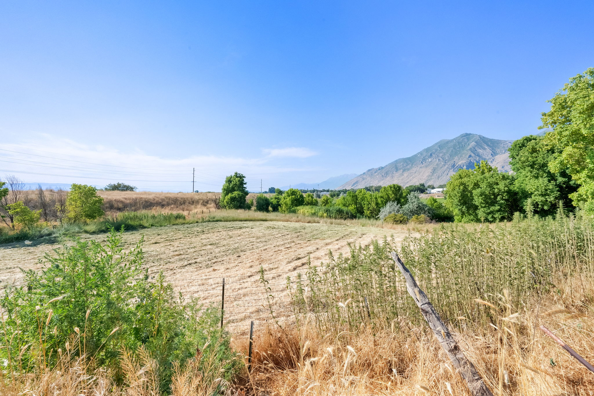 main property photo 90