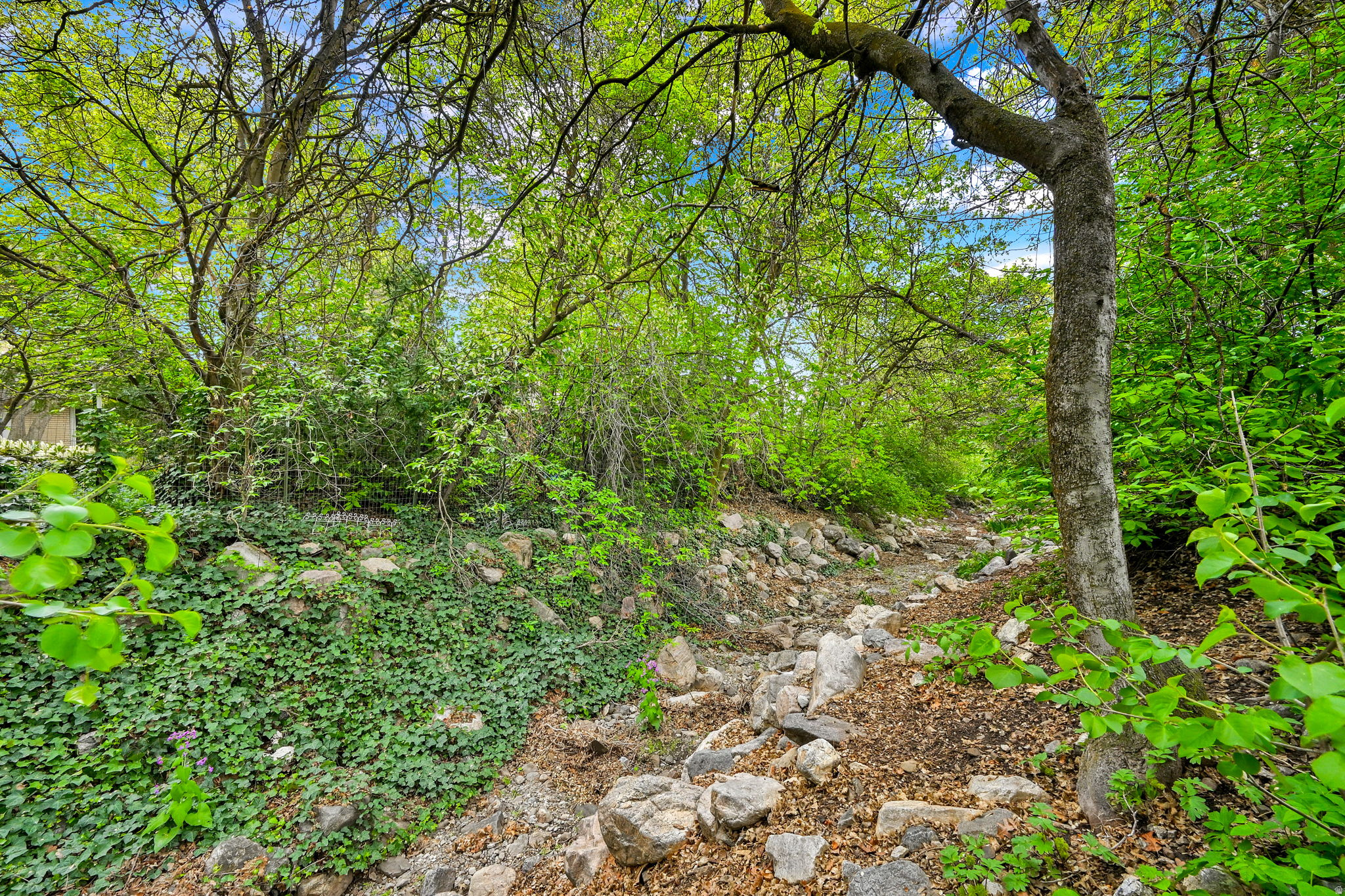 main property photo 56