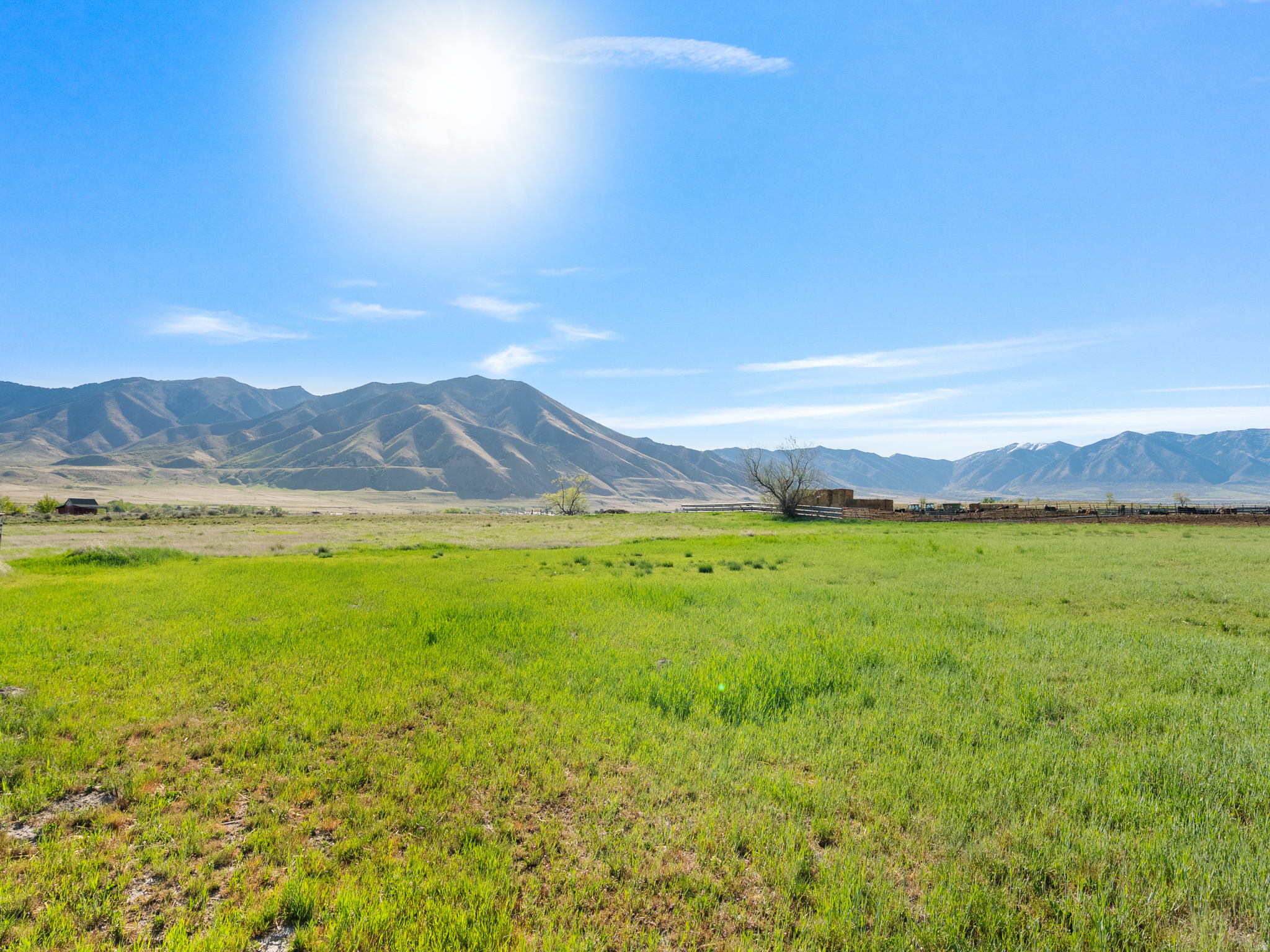 main property photo 54