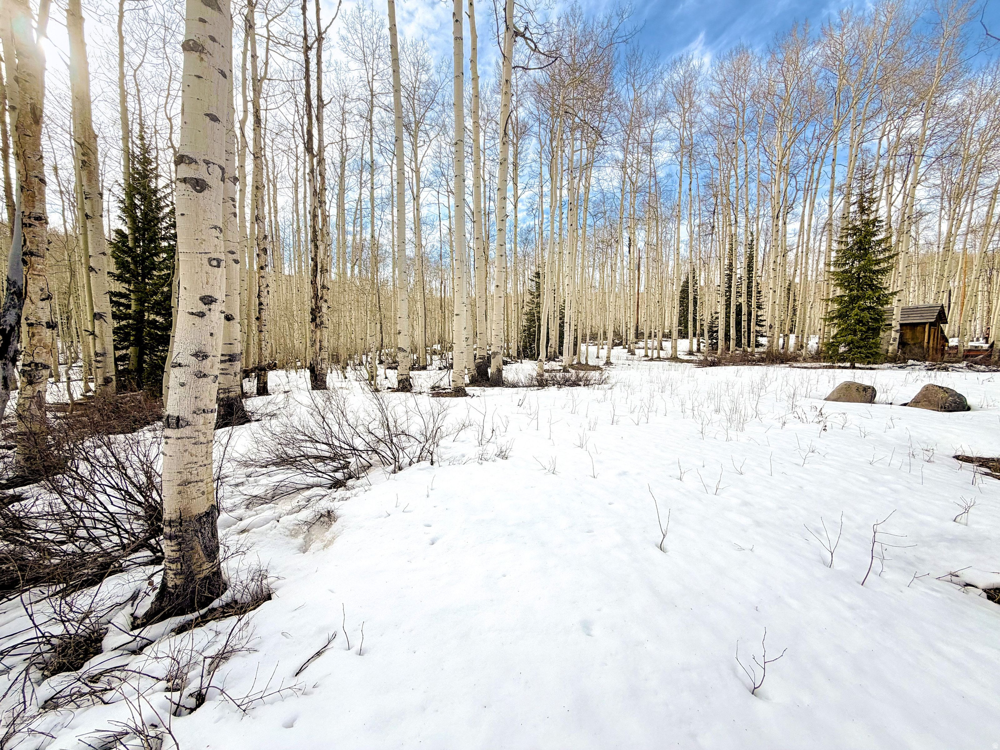 main property photo 19