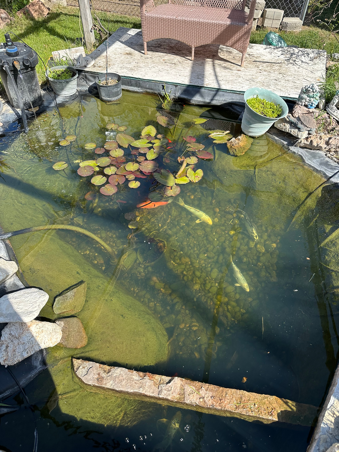 main property photo 35