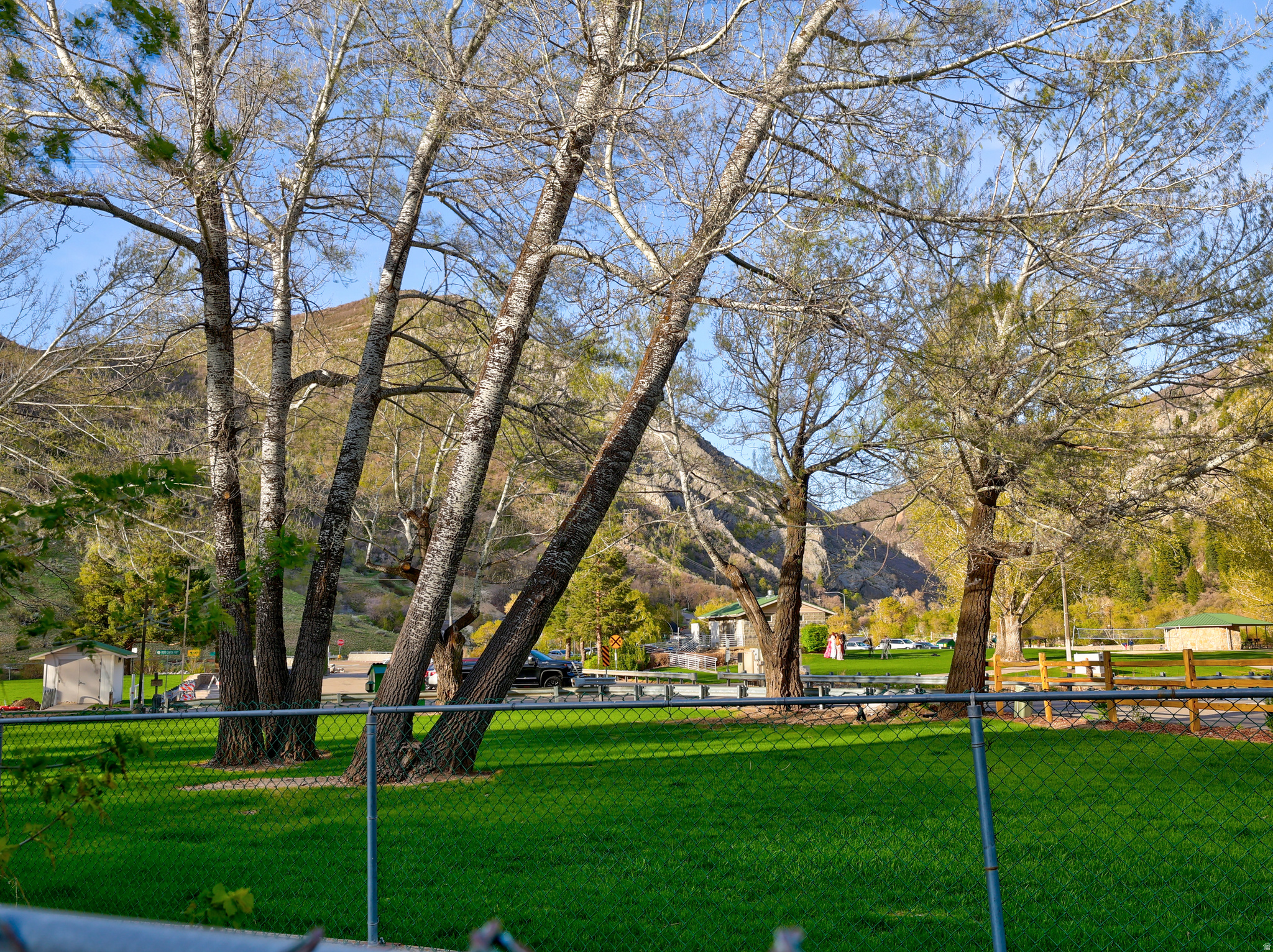 main property photo 42