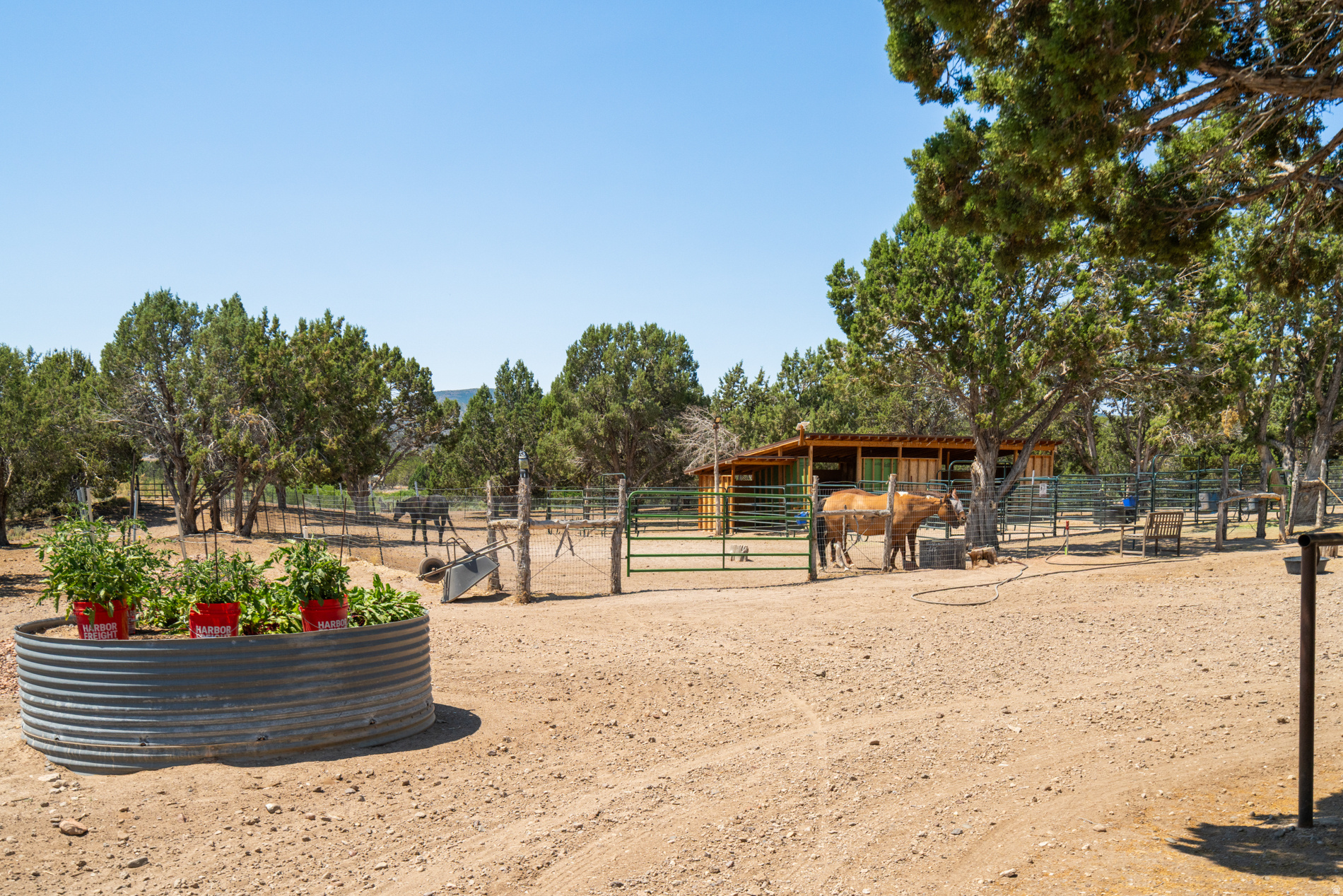 main property photo 55