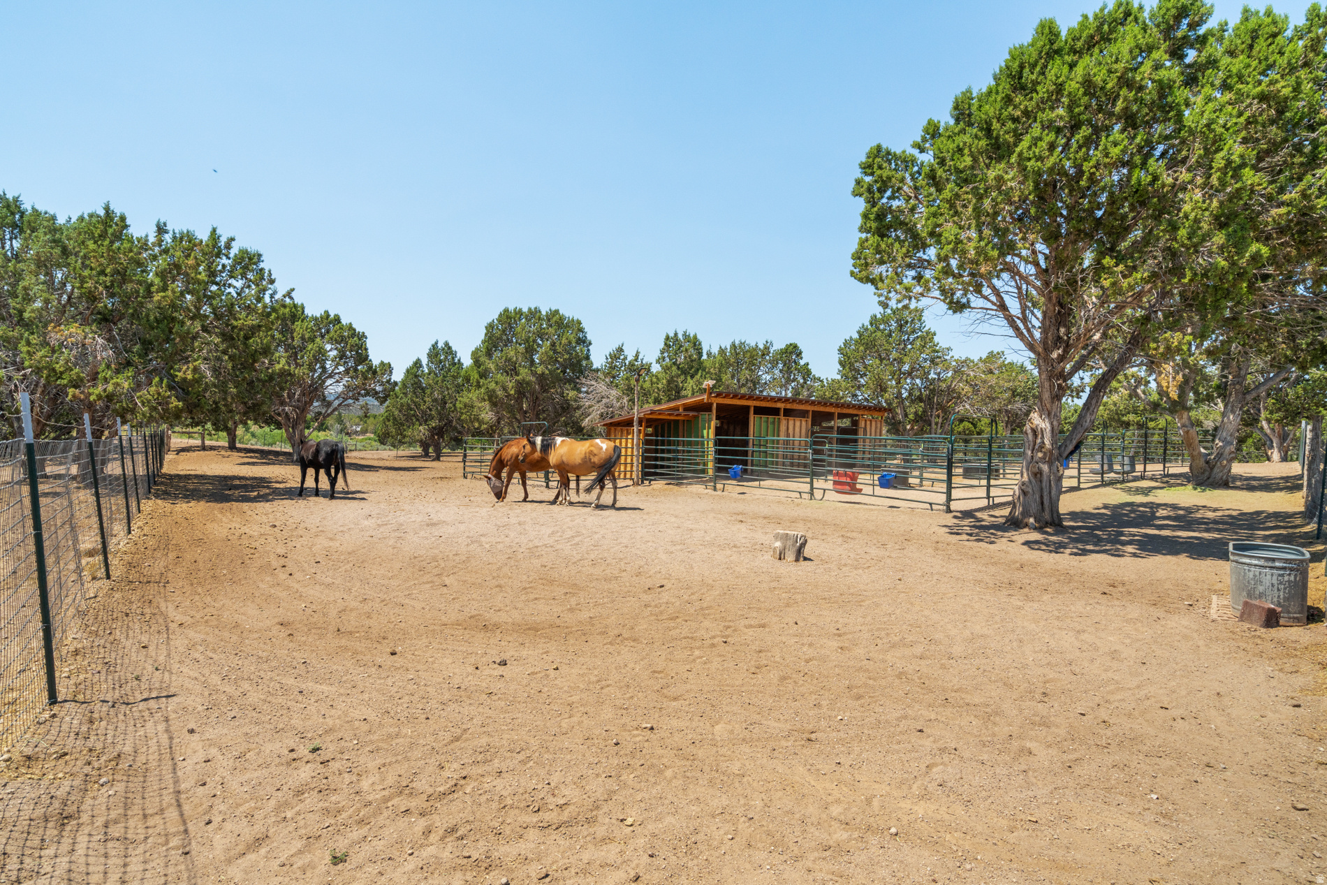 main property photo 56