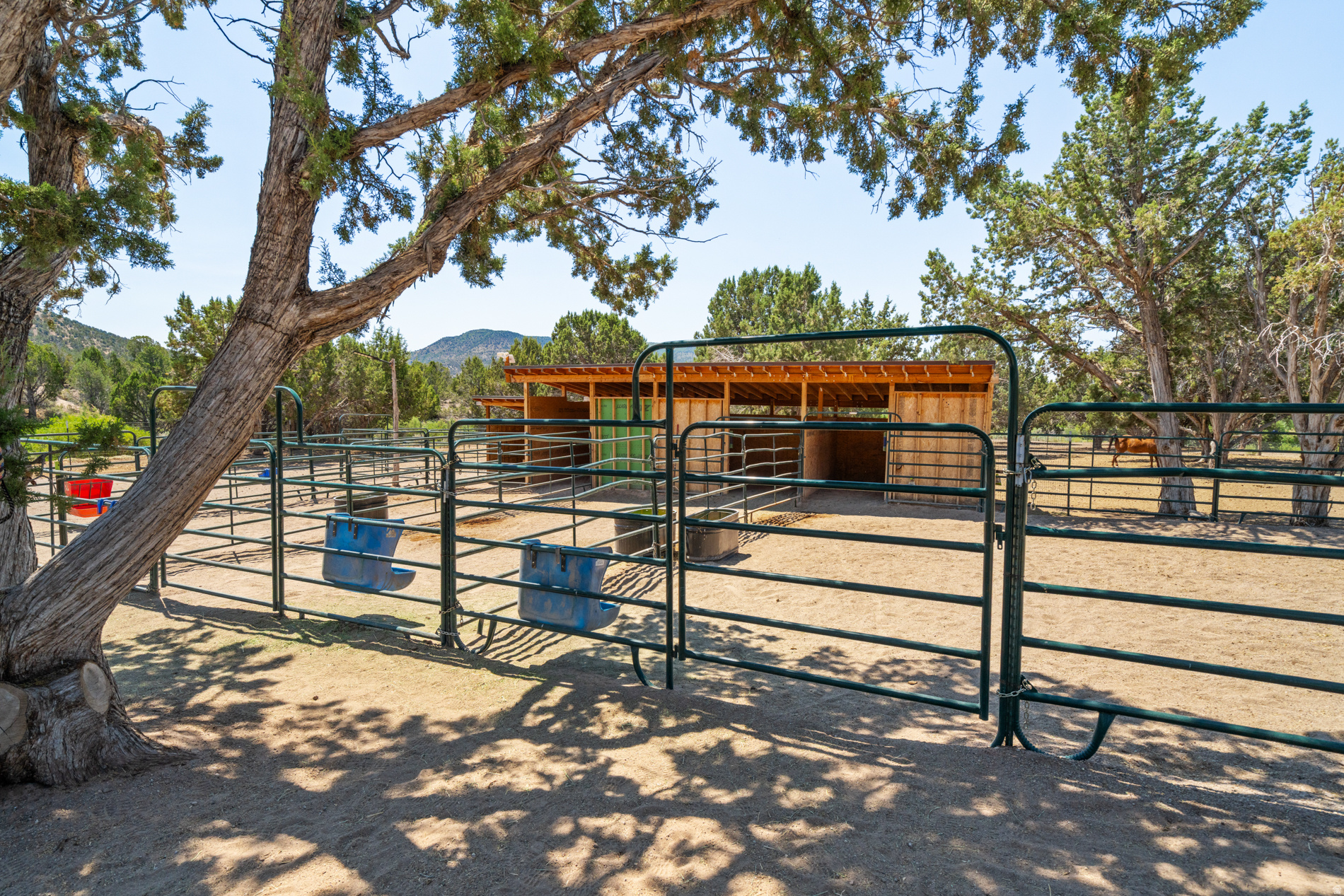 main property photo 59