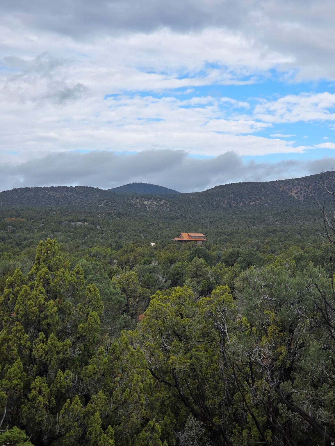 main property photo 63