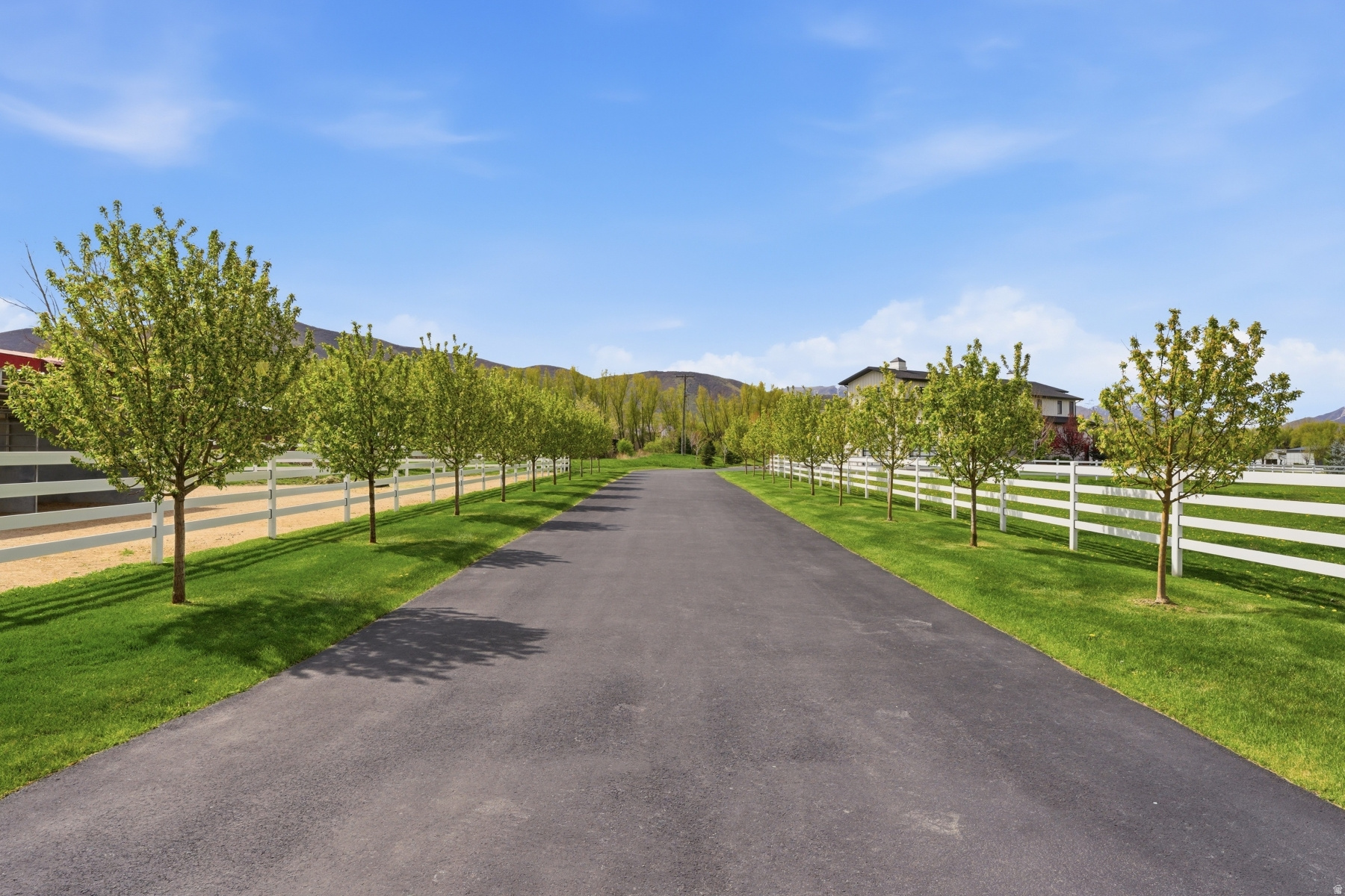 main property photo 56