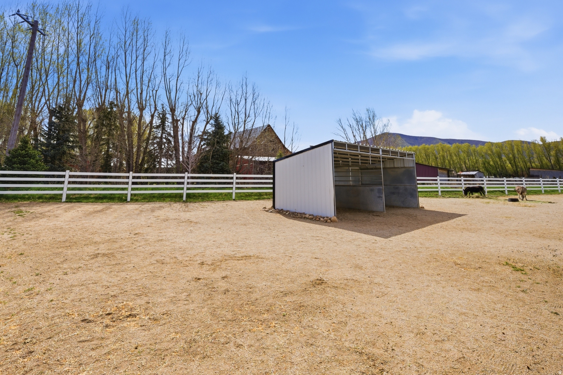 main property photo 57