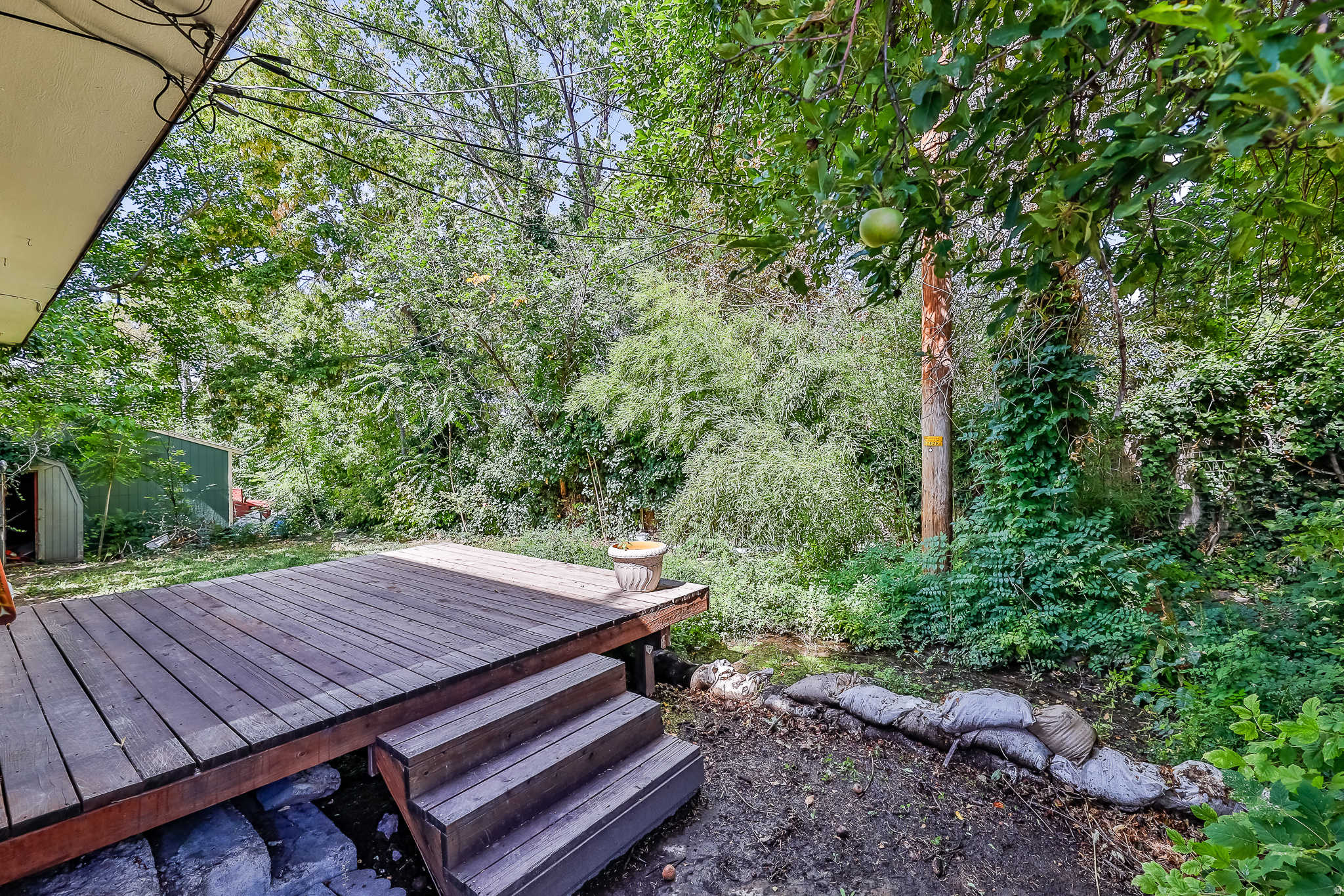 main property photo 41