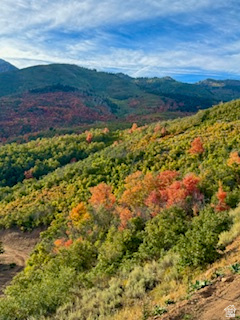 main property photo 61